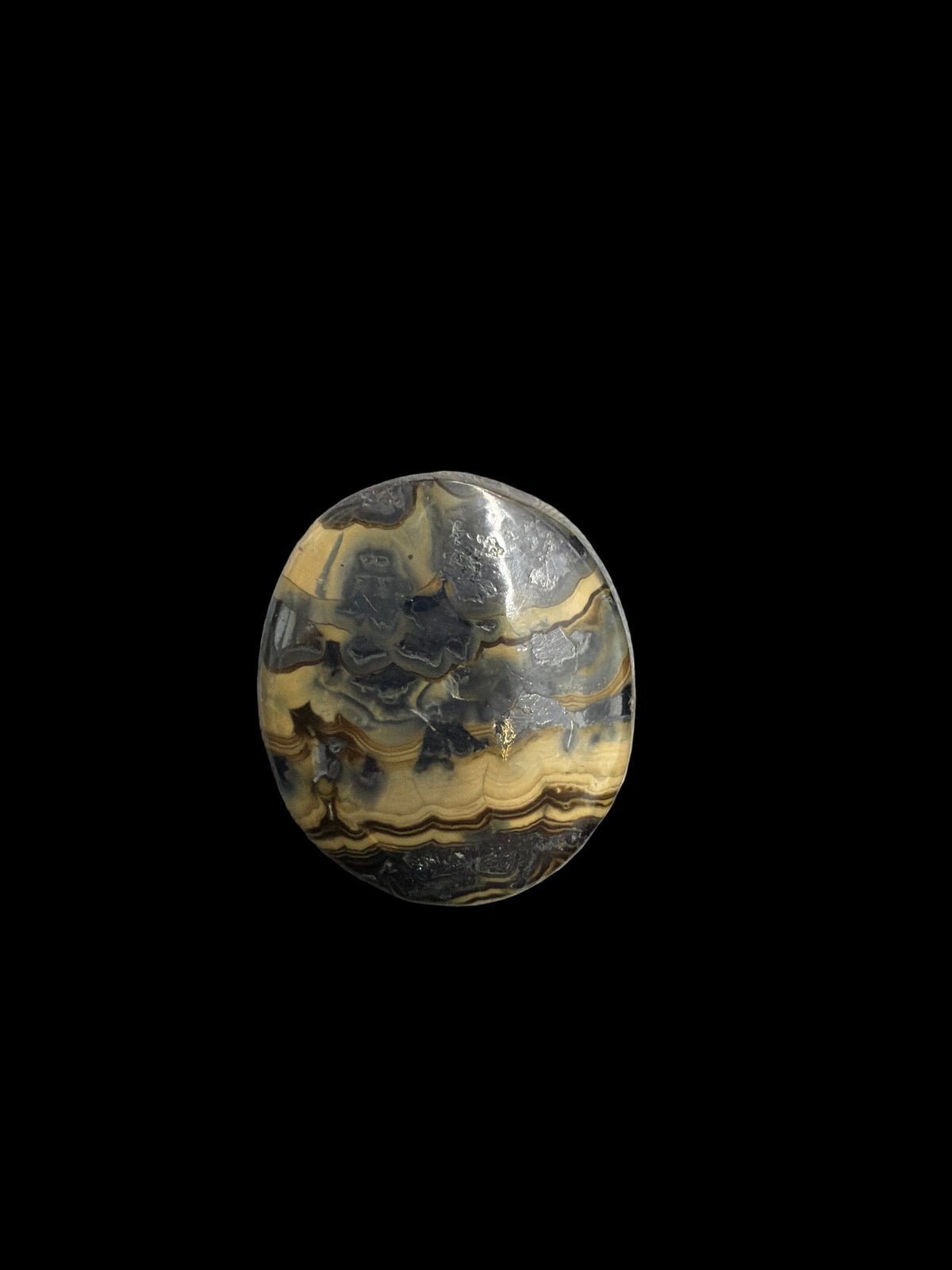 Schalendlende Palm Stone
