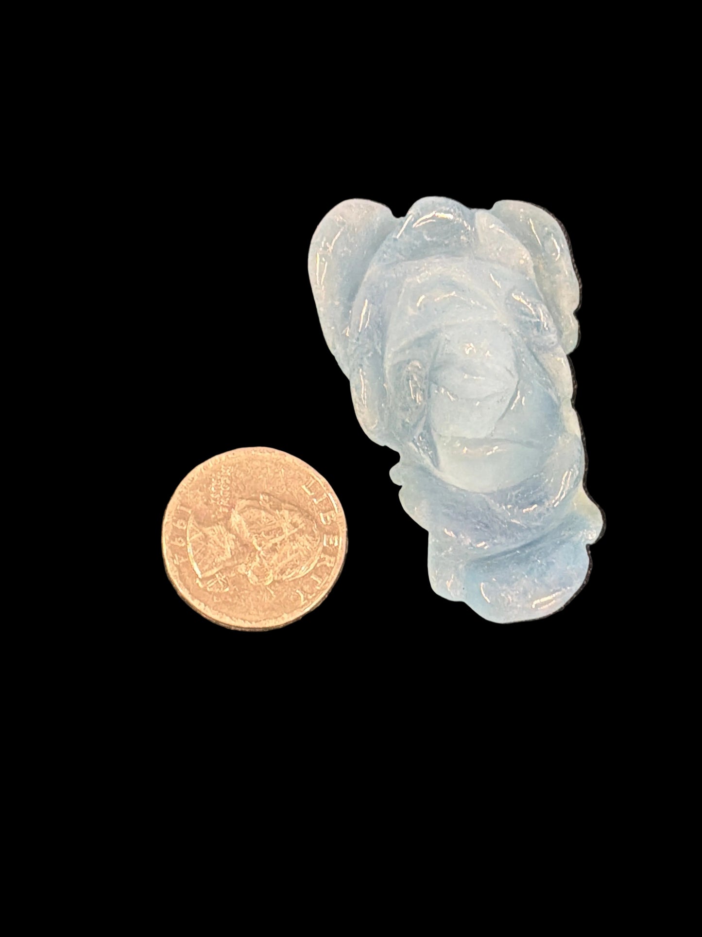 Aquamarine Roses