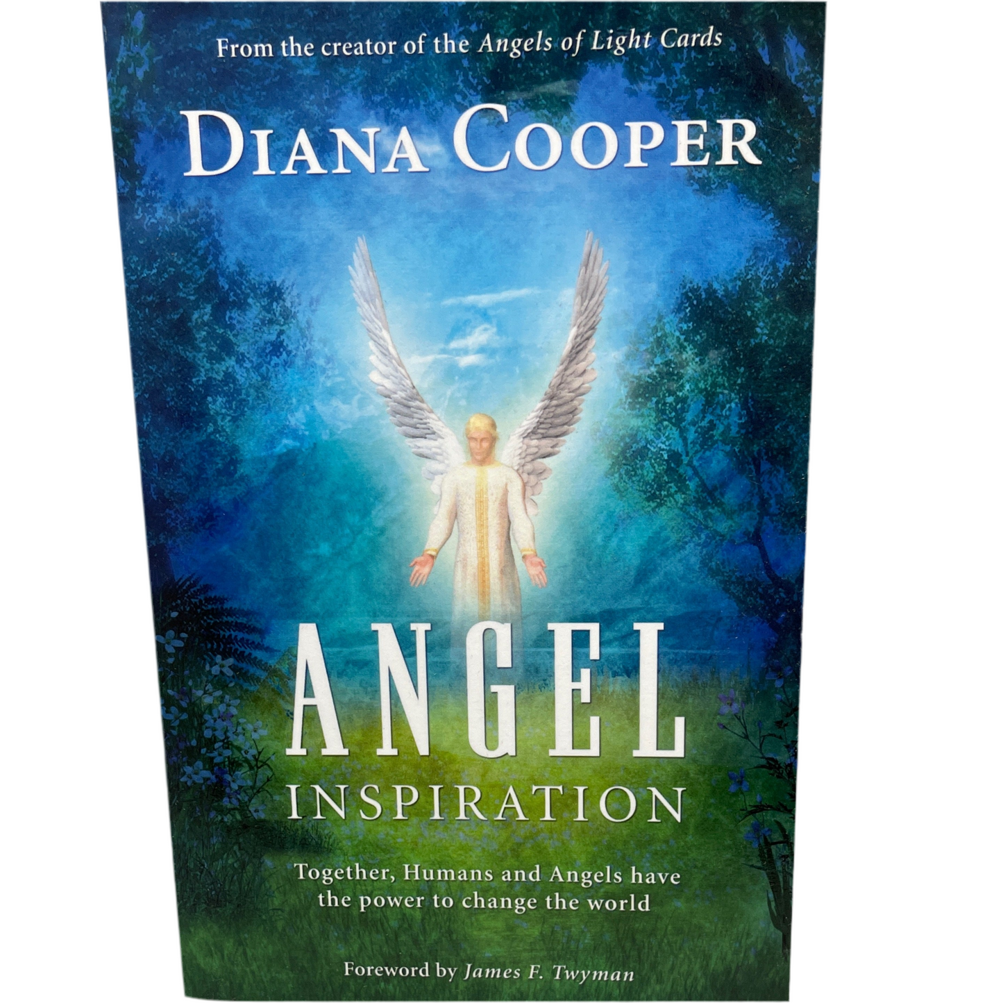 Angel Inspiration