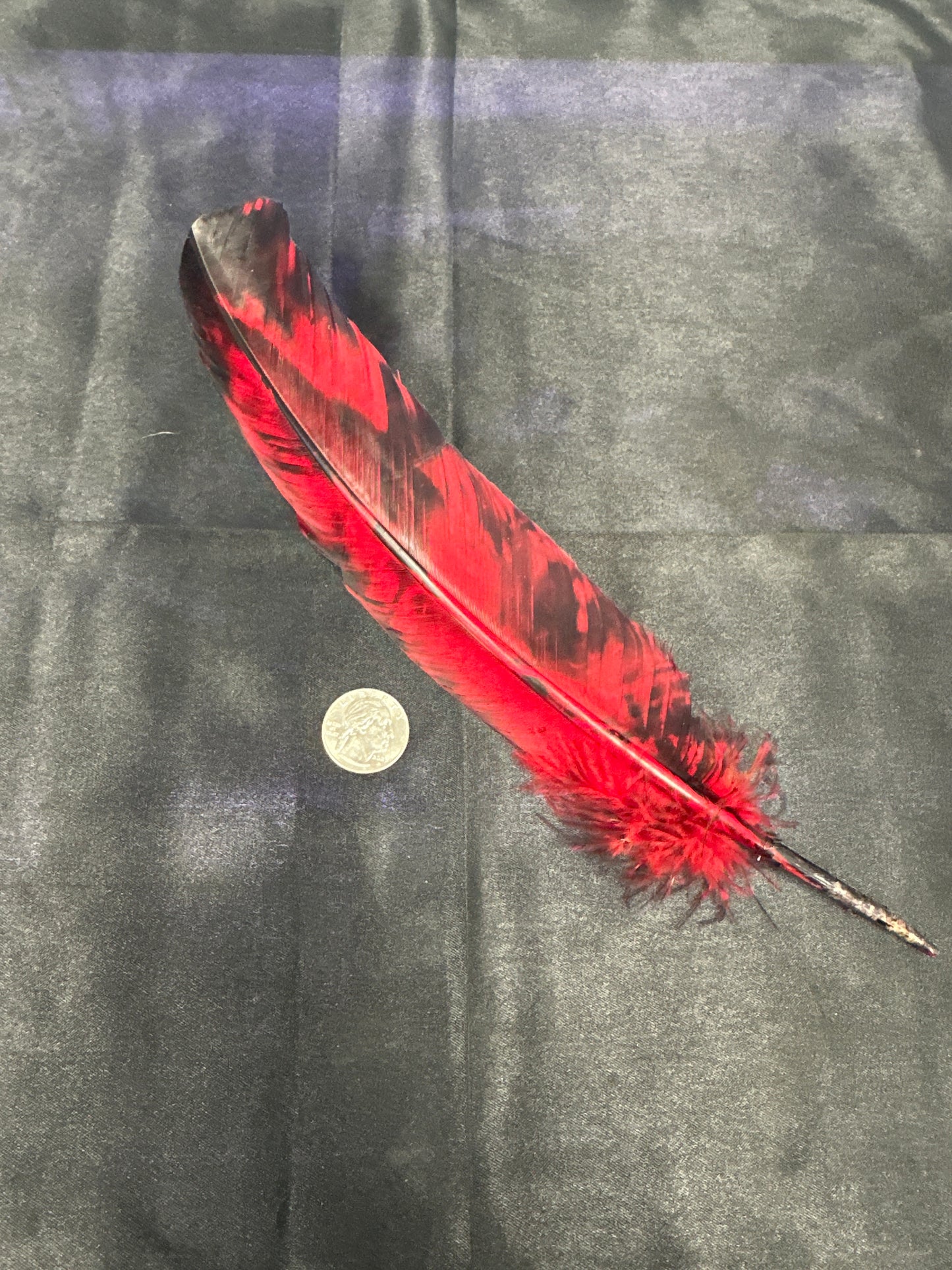 Tie Dye Feathers