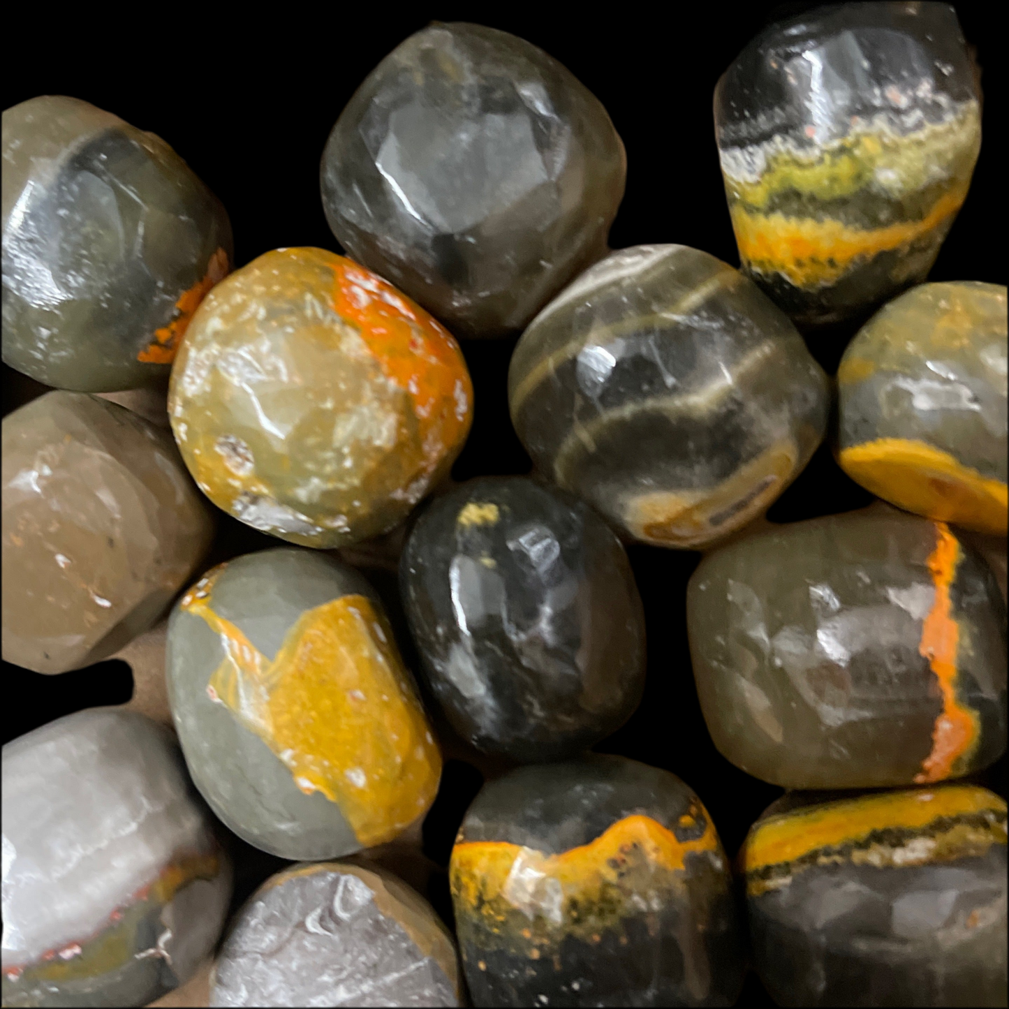 Bumble Bee Jasper