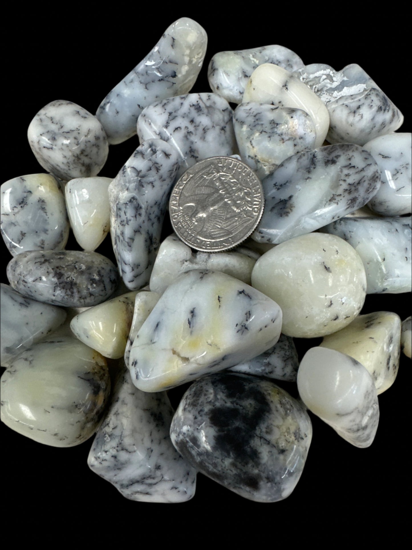 Dendritic Agate Tumbled