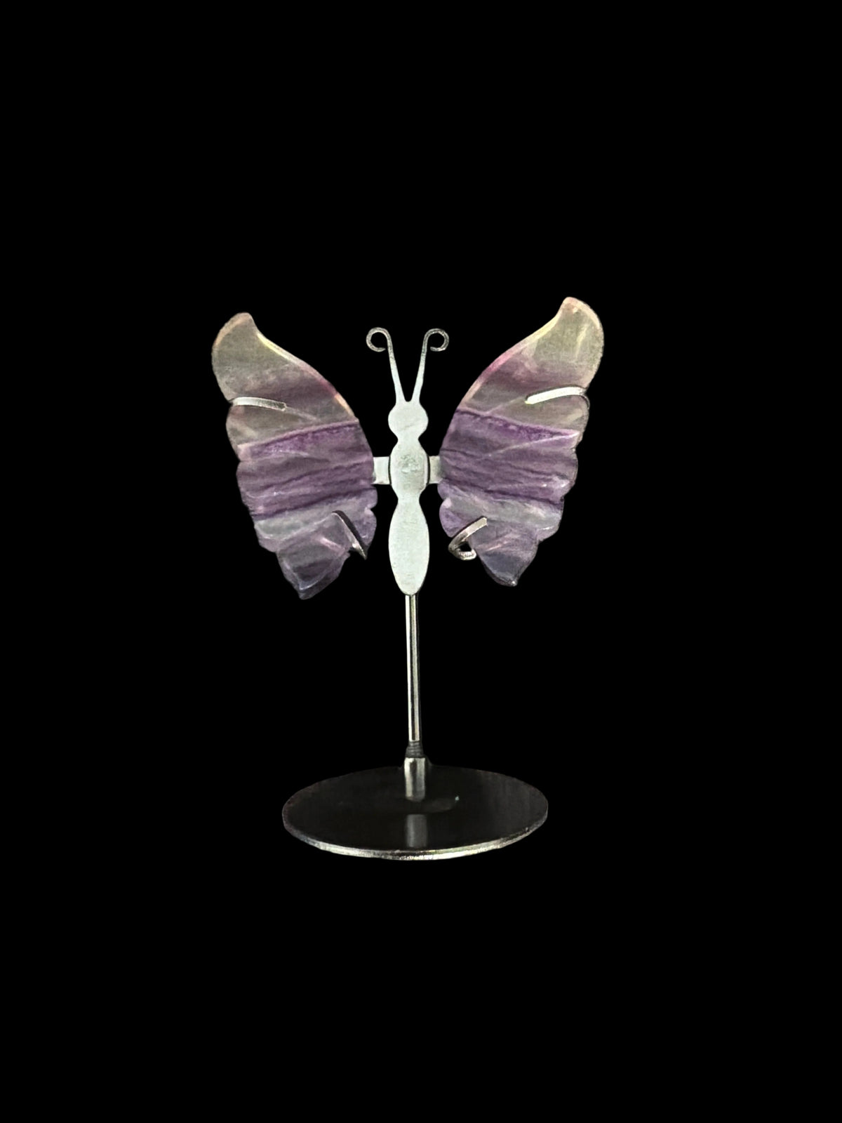 Butterfly on Metal stand