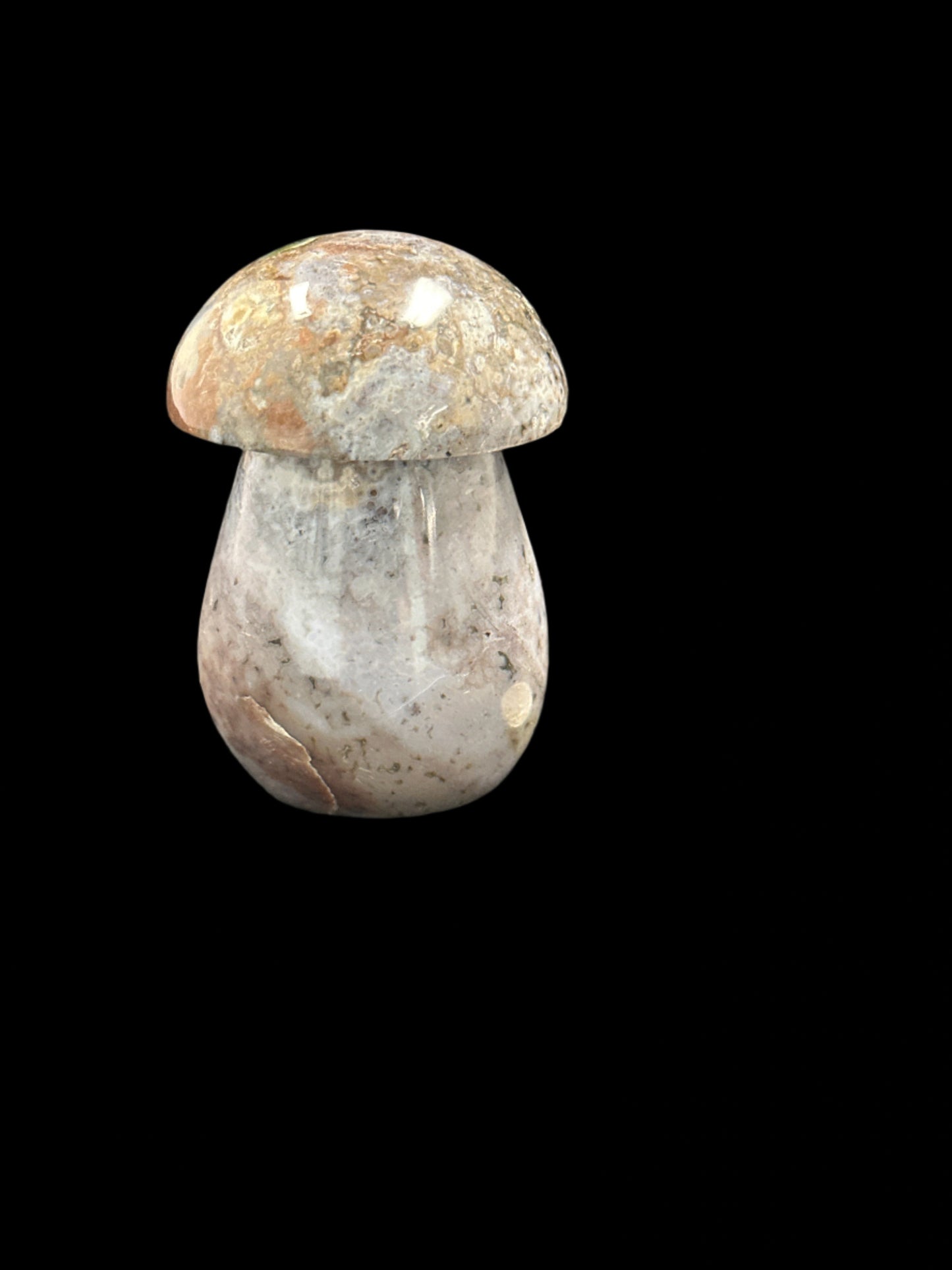Ocean Jasper Mushroom