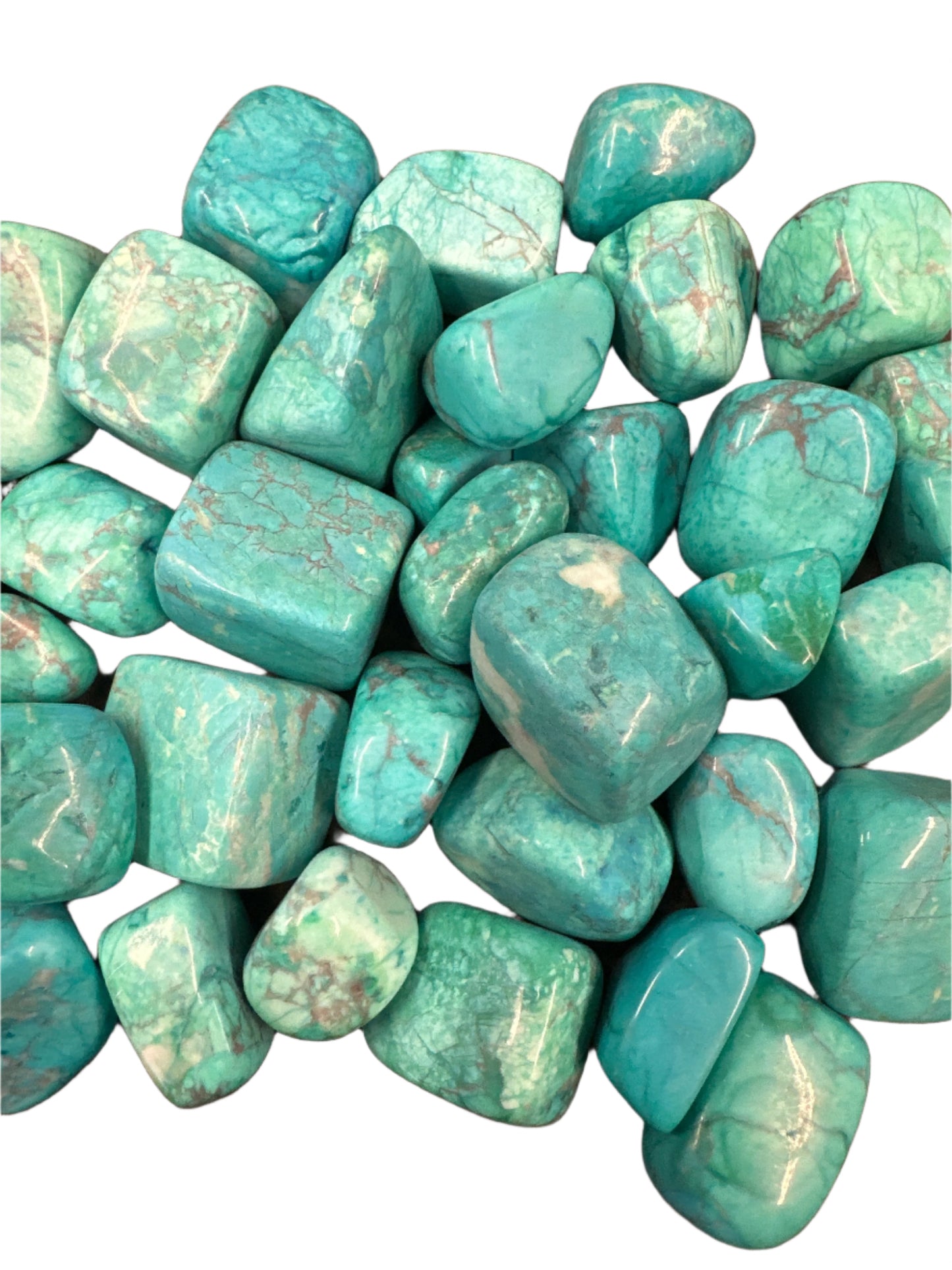 Turquoise Howlite Large Tumbled