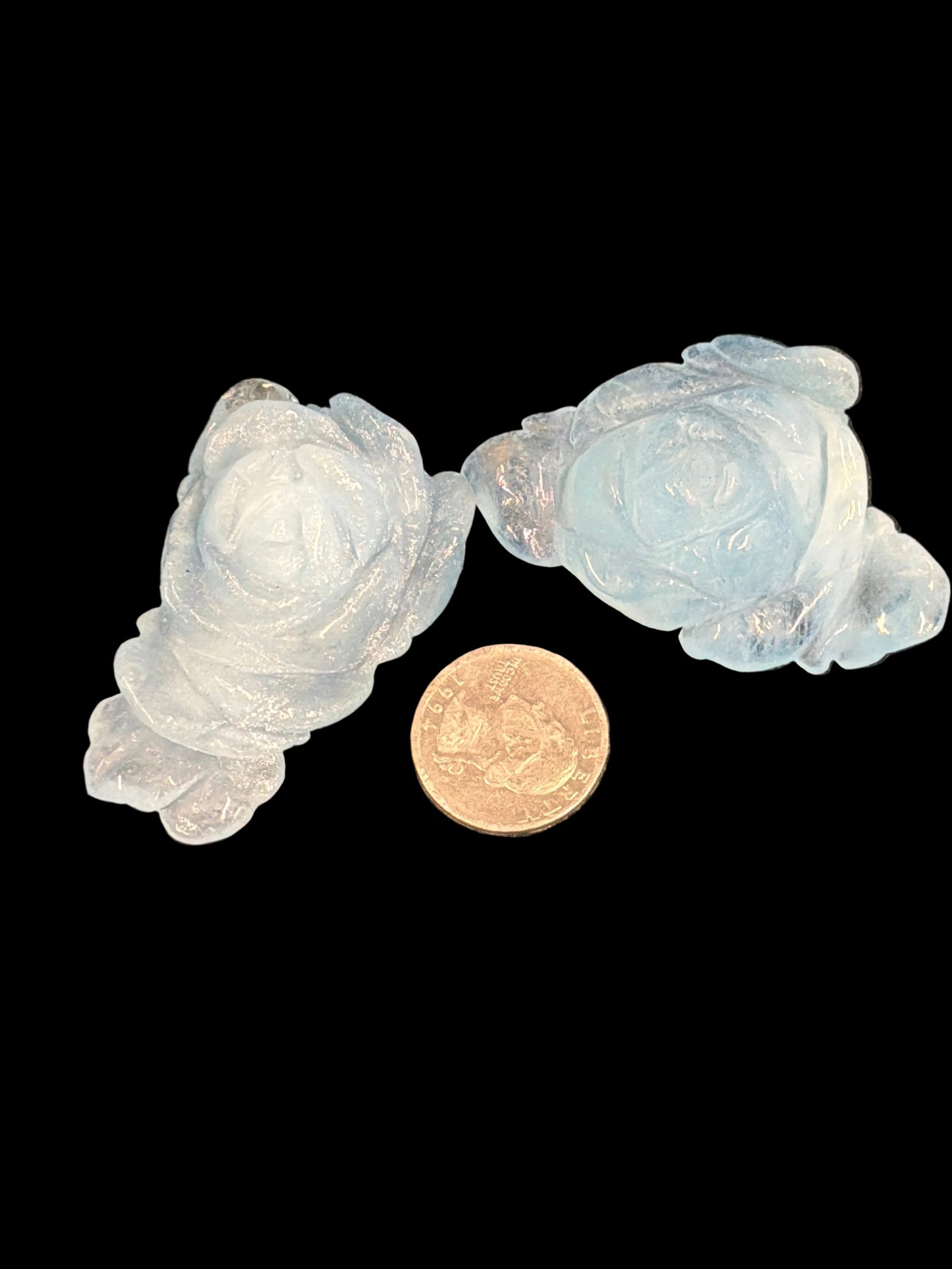 Aquamarine Roses
