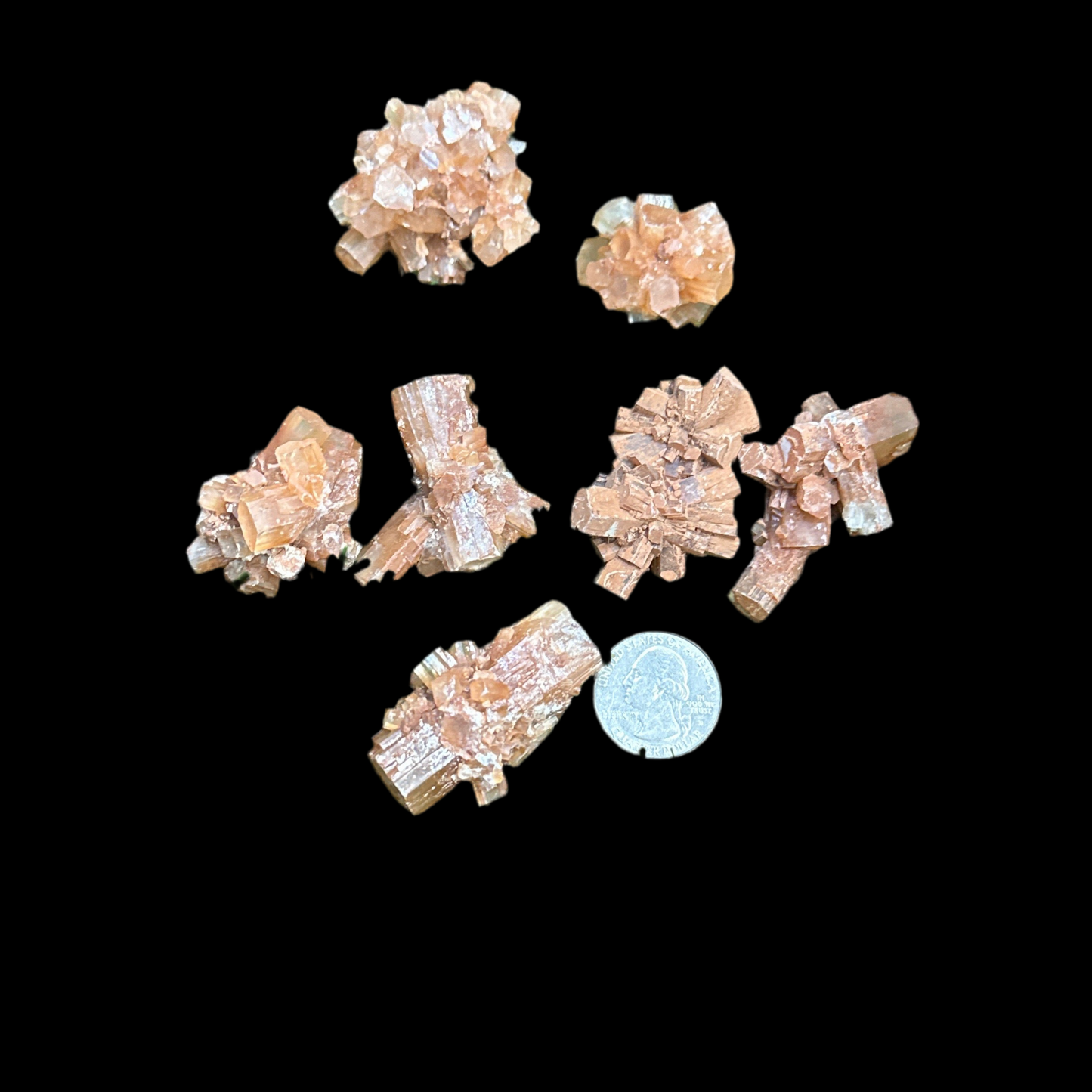 Aragonite Star Clusters