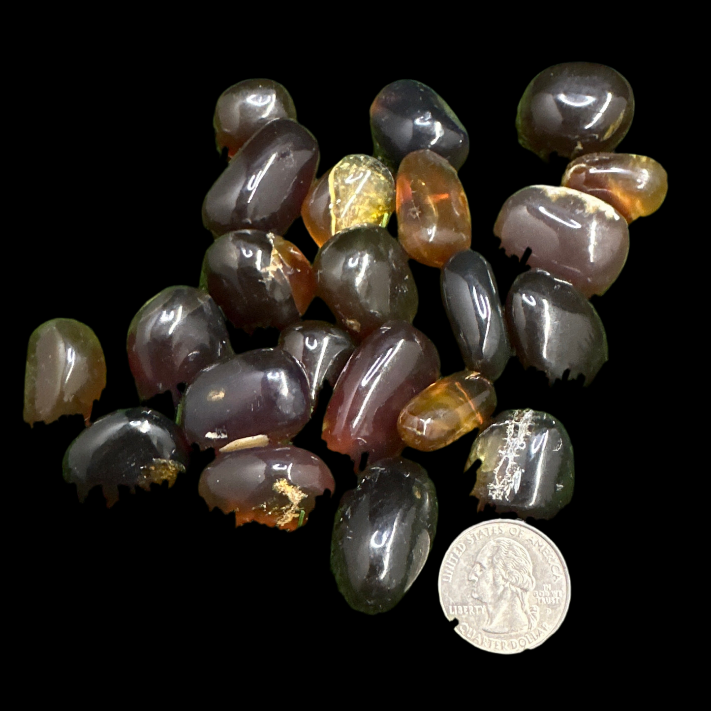 Black Amber Tumbled