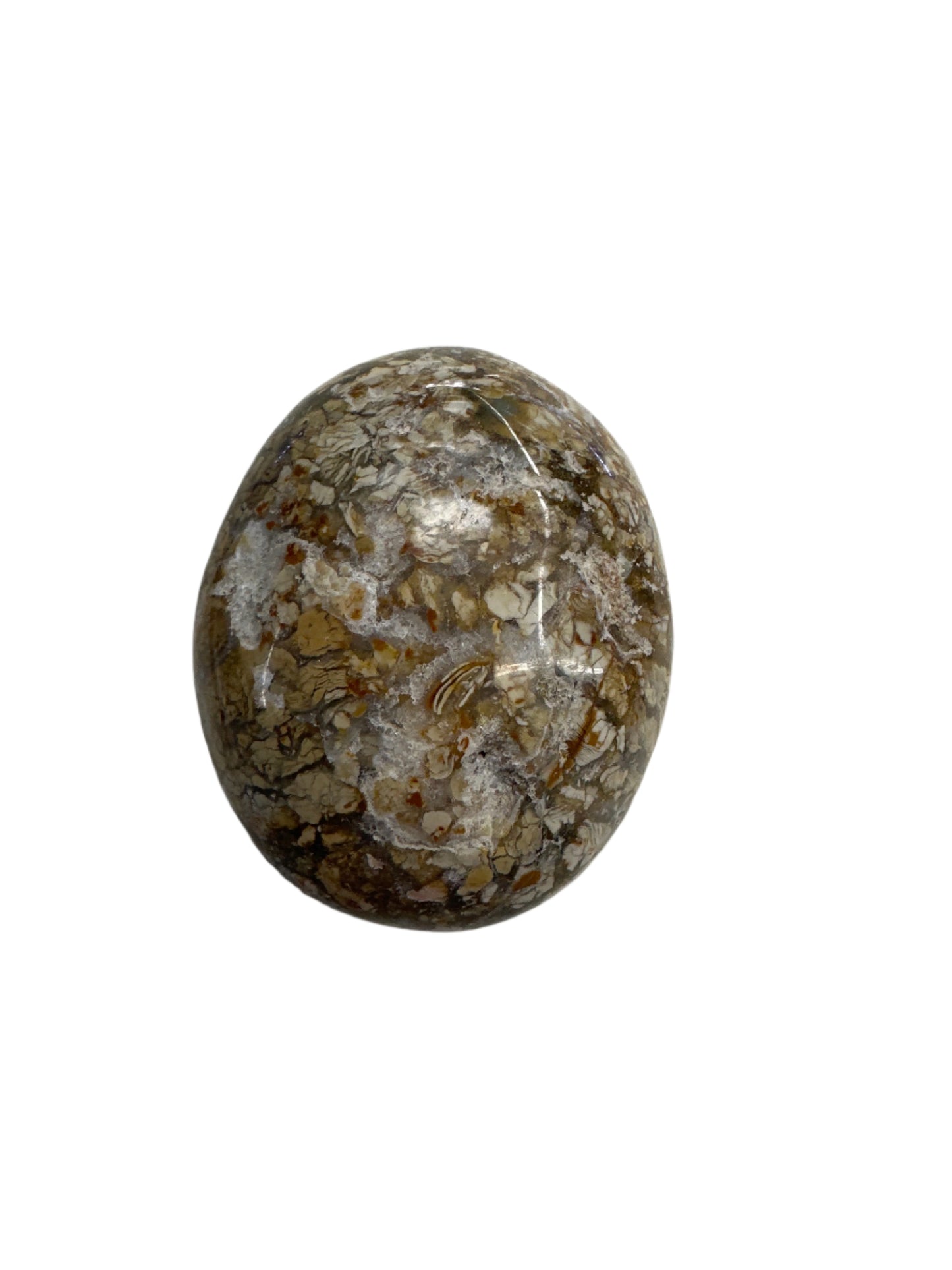 Ibis Jasper Palm Stones