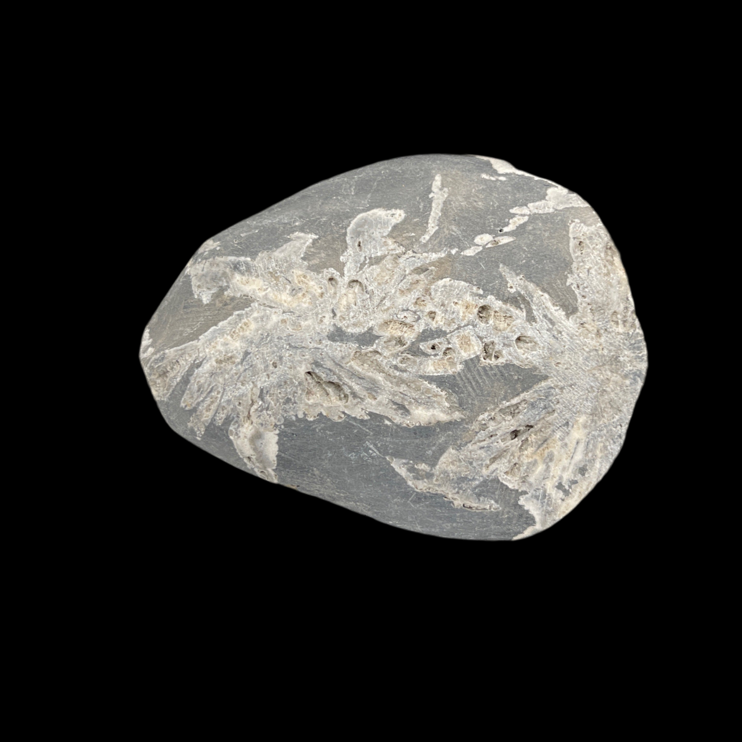 Chrysanthemum Stone