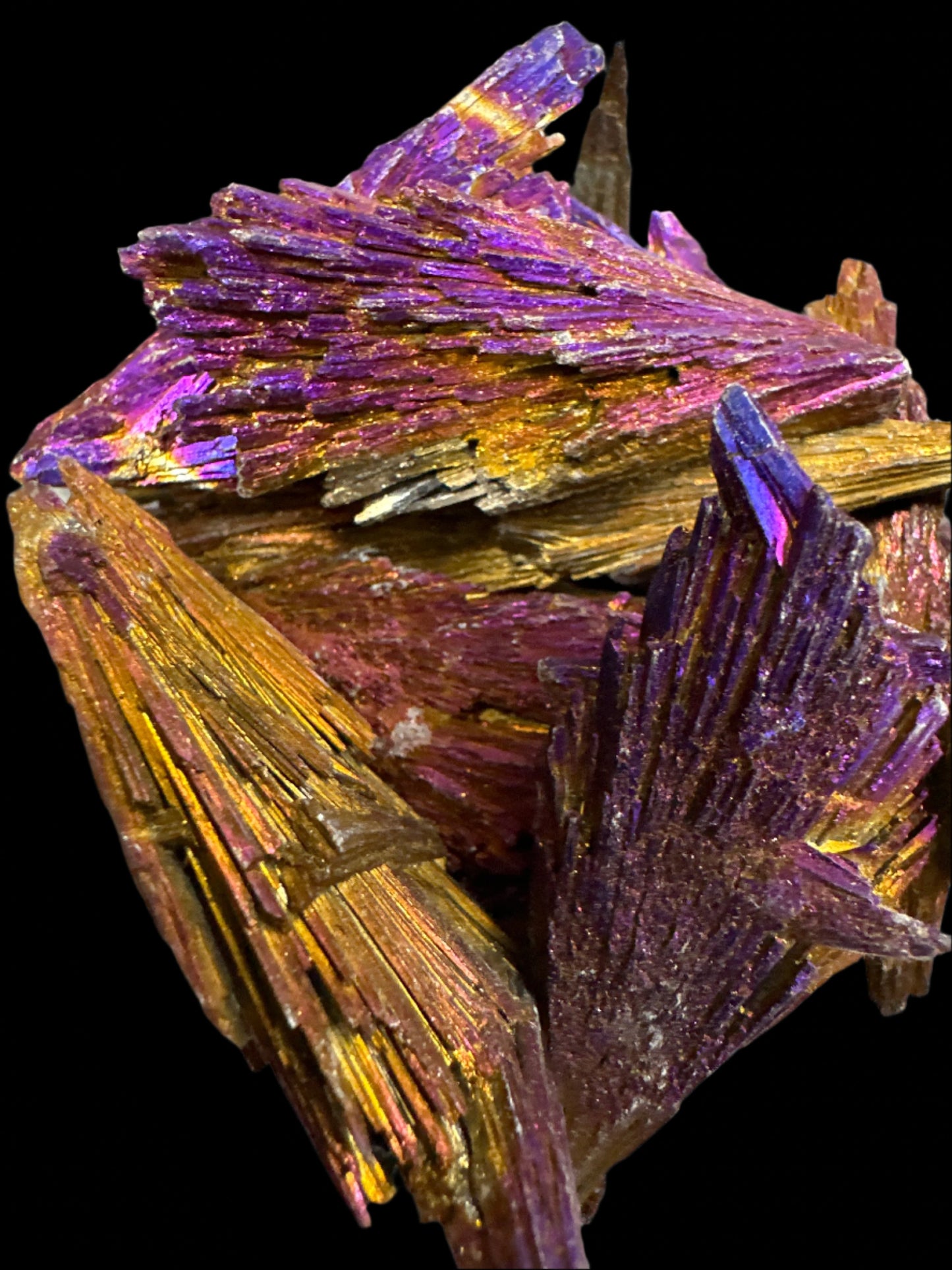 Dichroic Kyanite