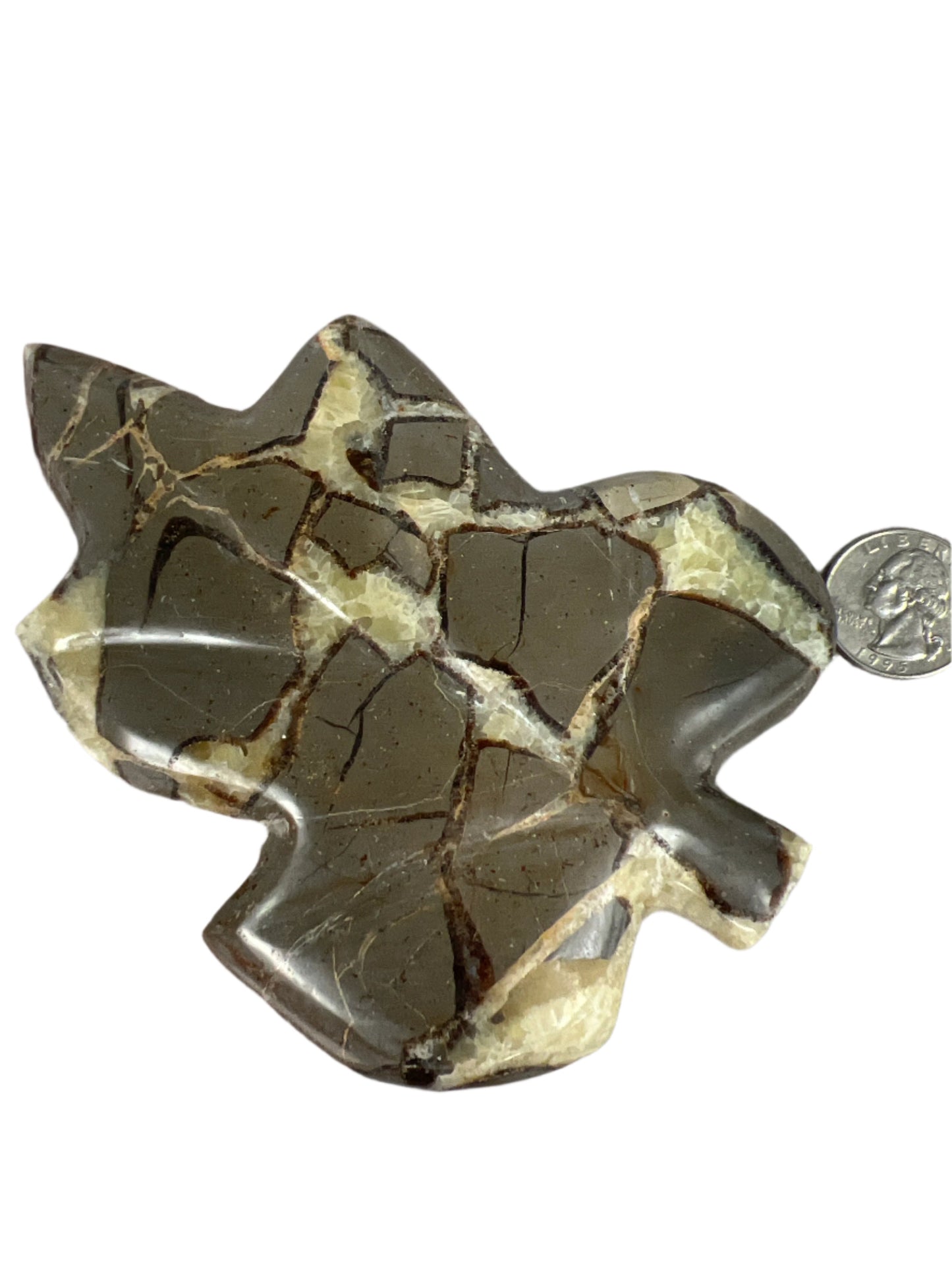 Septarian Leaf Dish