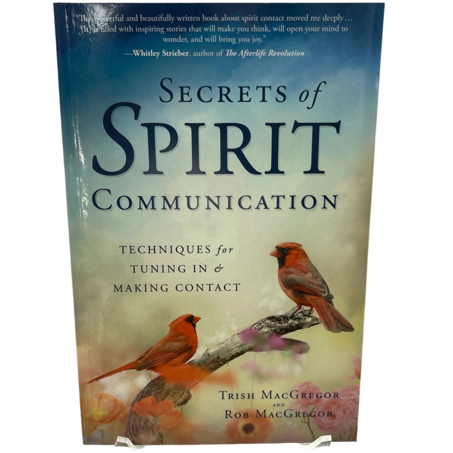 Secrets of Spirit Communication