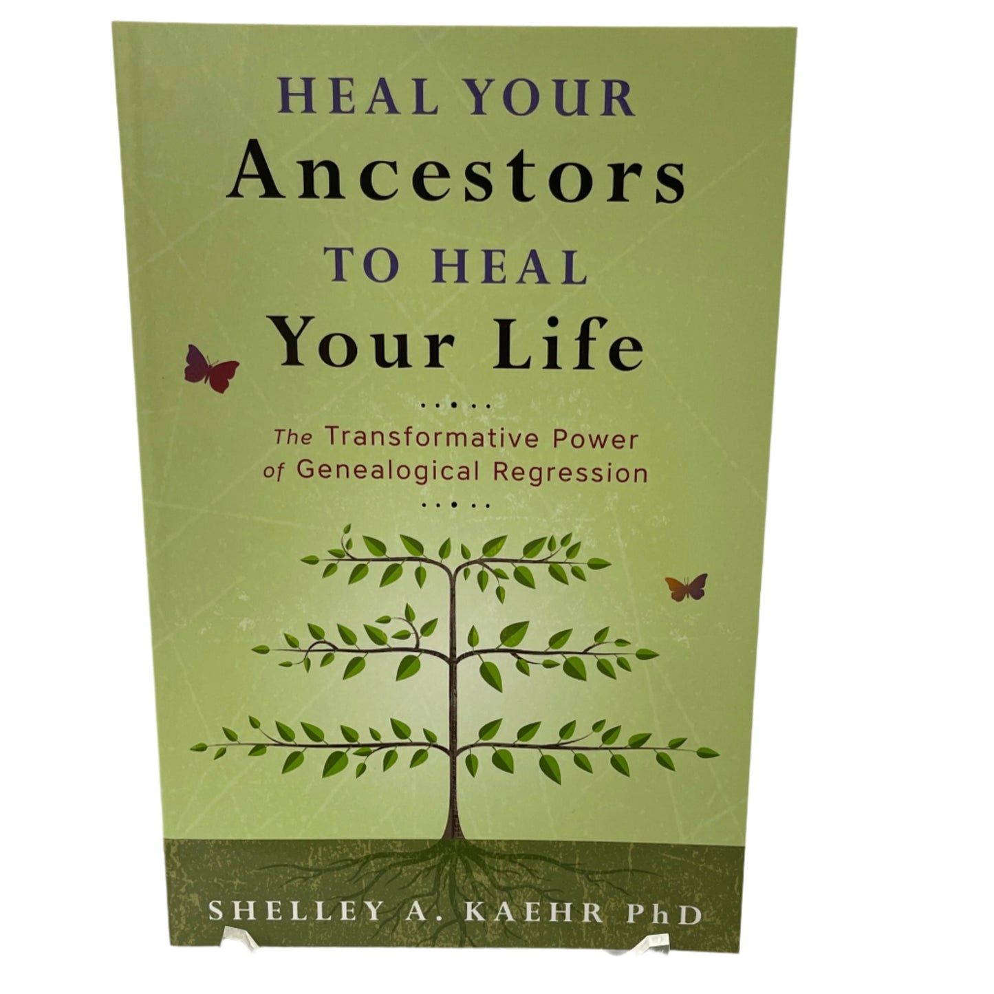Heal Your Ancestors to Heal Your Life