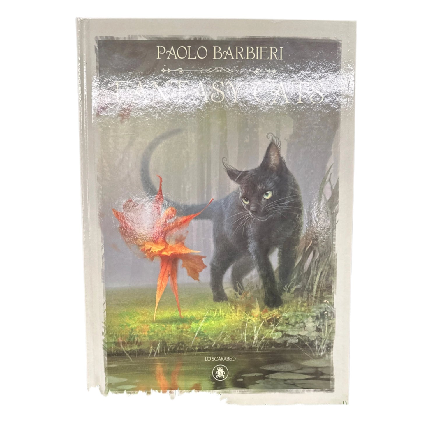 Fantasy Cats Picture Book