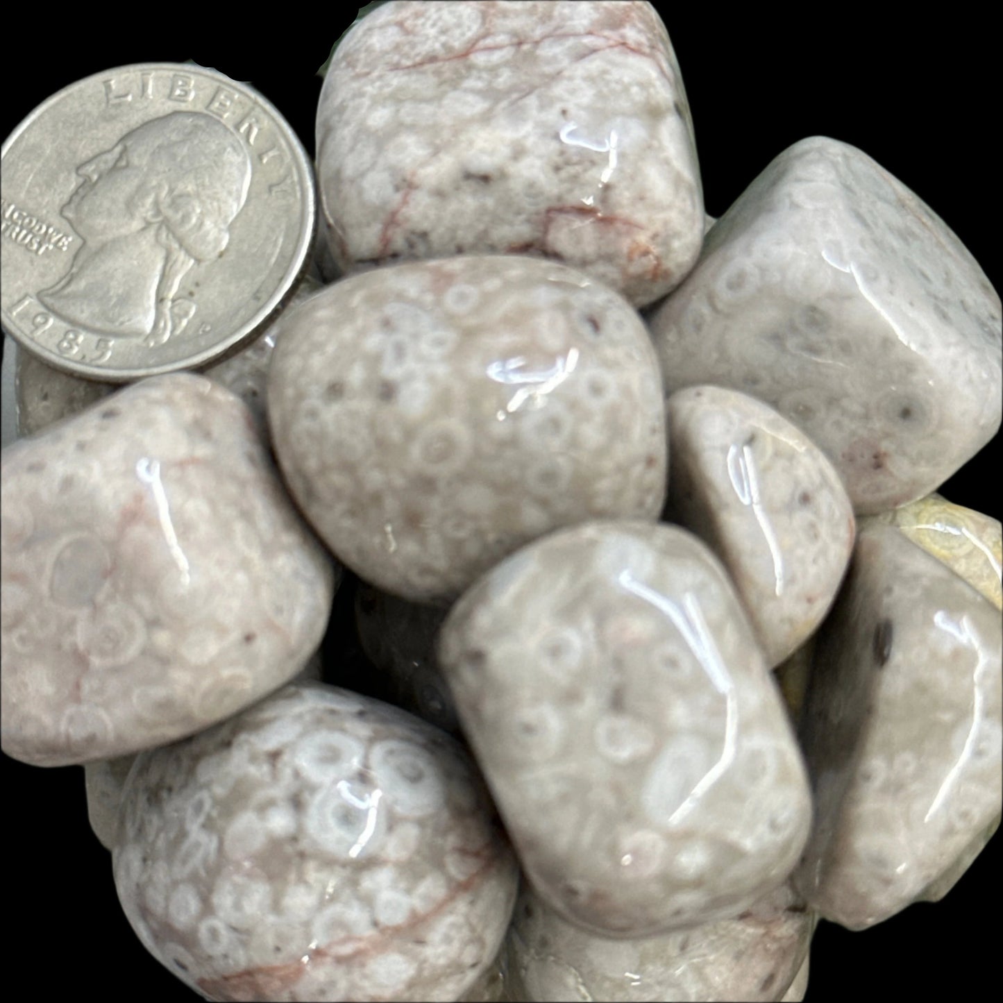 White leopard skin jasper tumbled