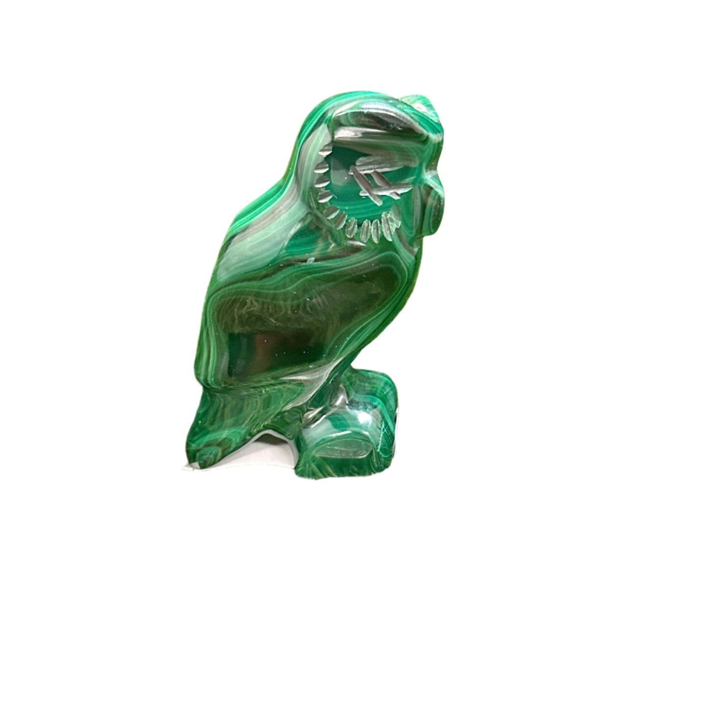 Malachite Owl