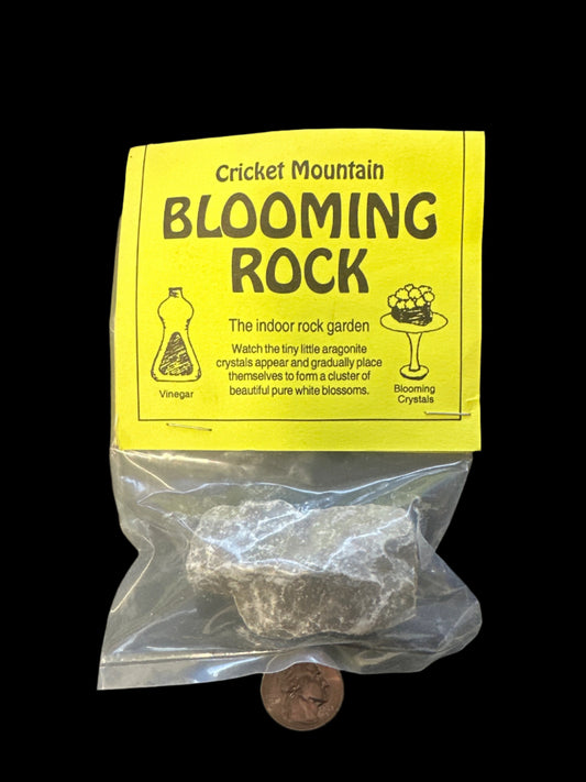 Blooming Rock