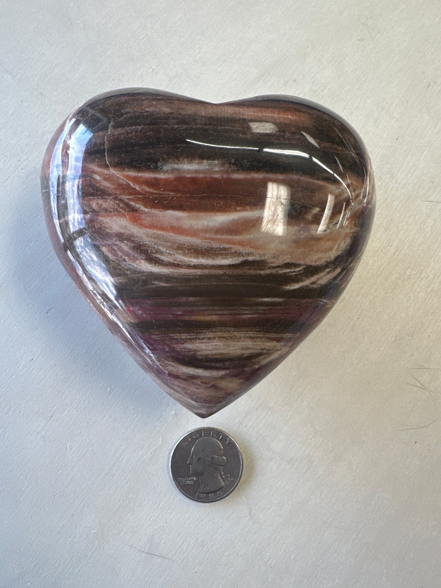 Petrified Wood Heart