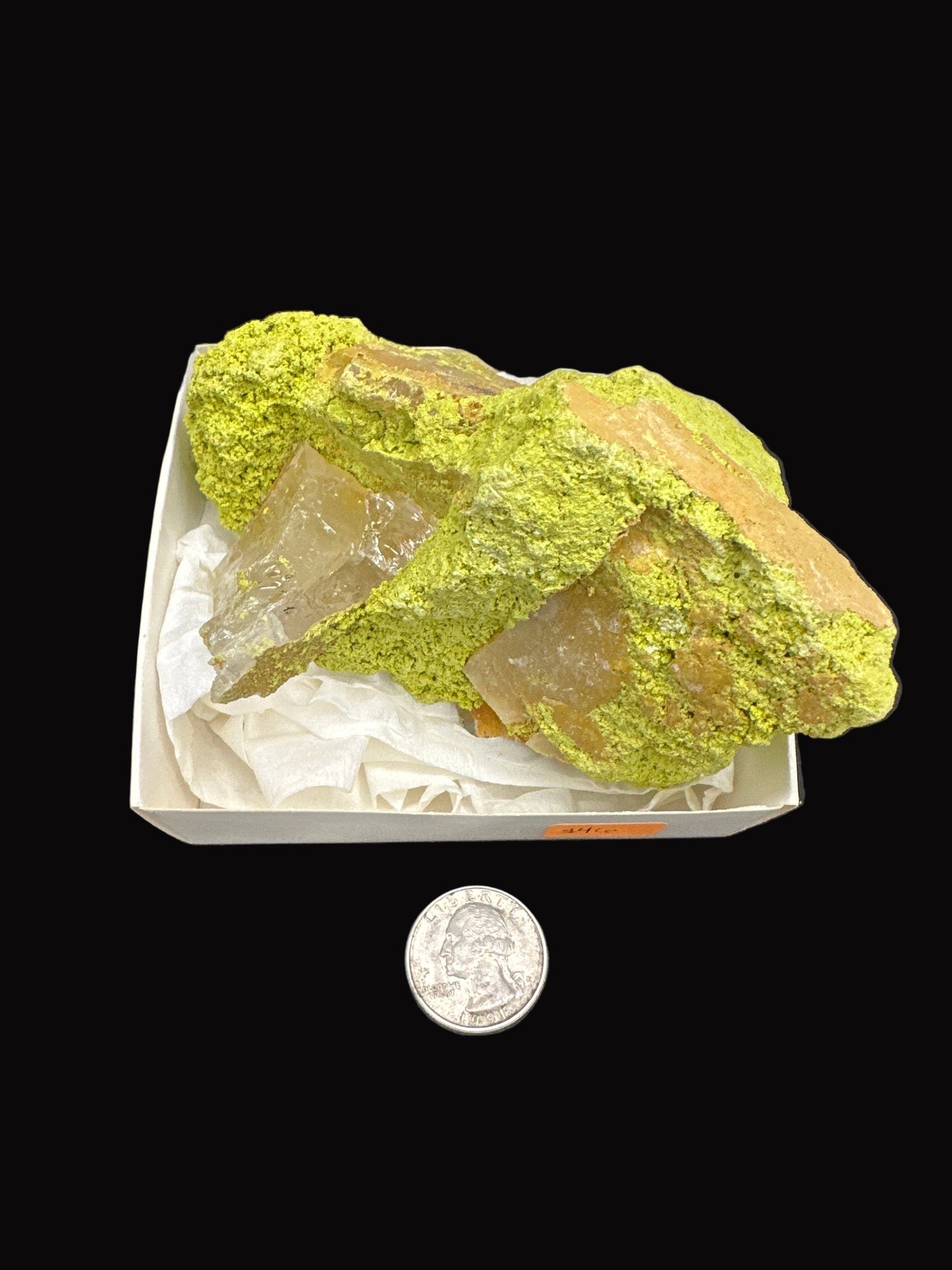 Nontronite