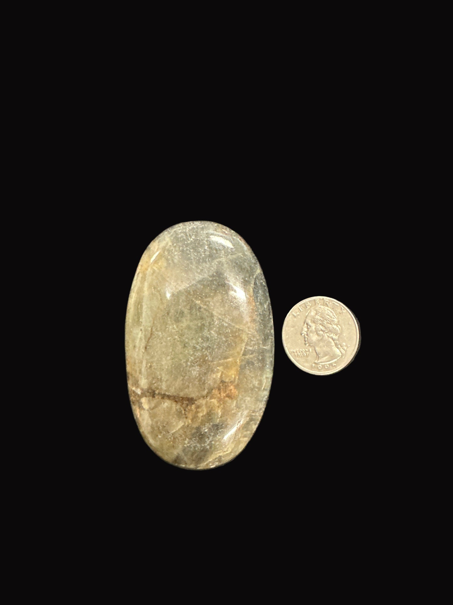 Golden Sapphire Palm Stone