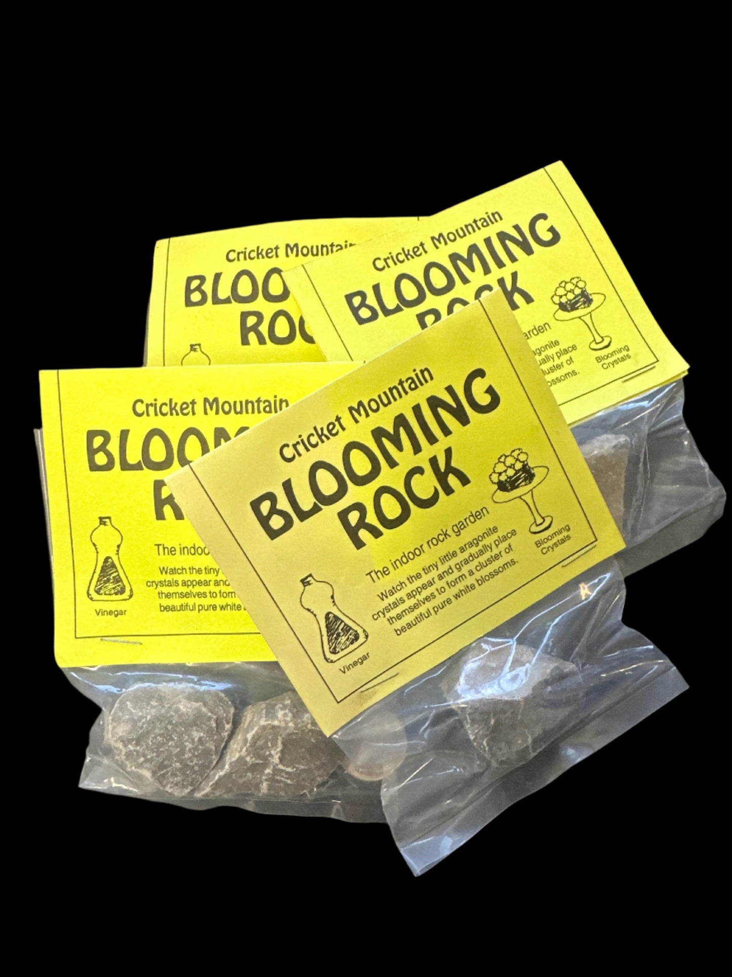 Blooming Rock