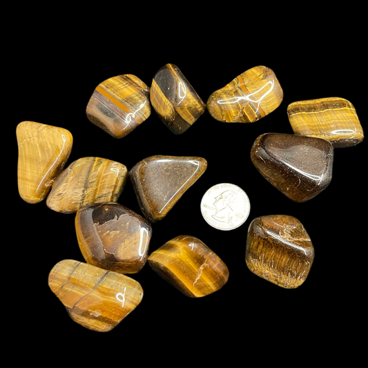Gold Tigers Eye Tumbled (Large)