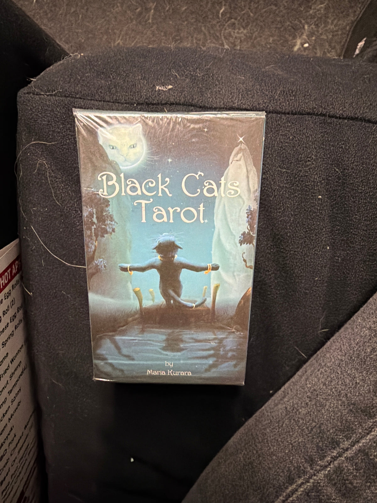 Pocket Tarot & Oracle Deck
