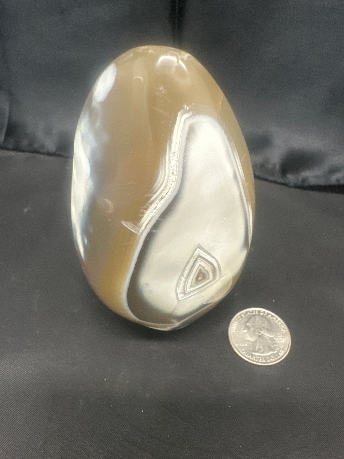 Orca Agate Freeform