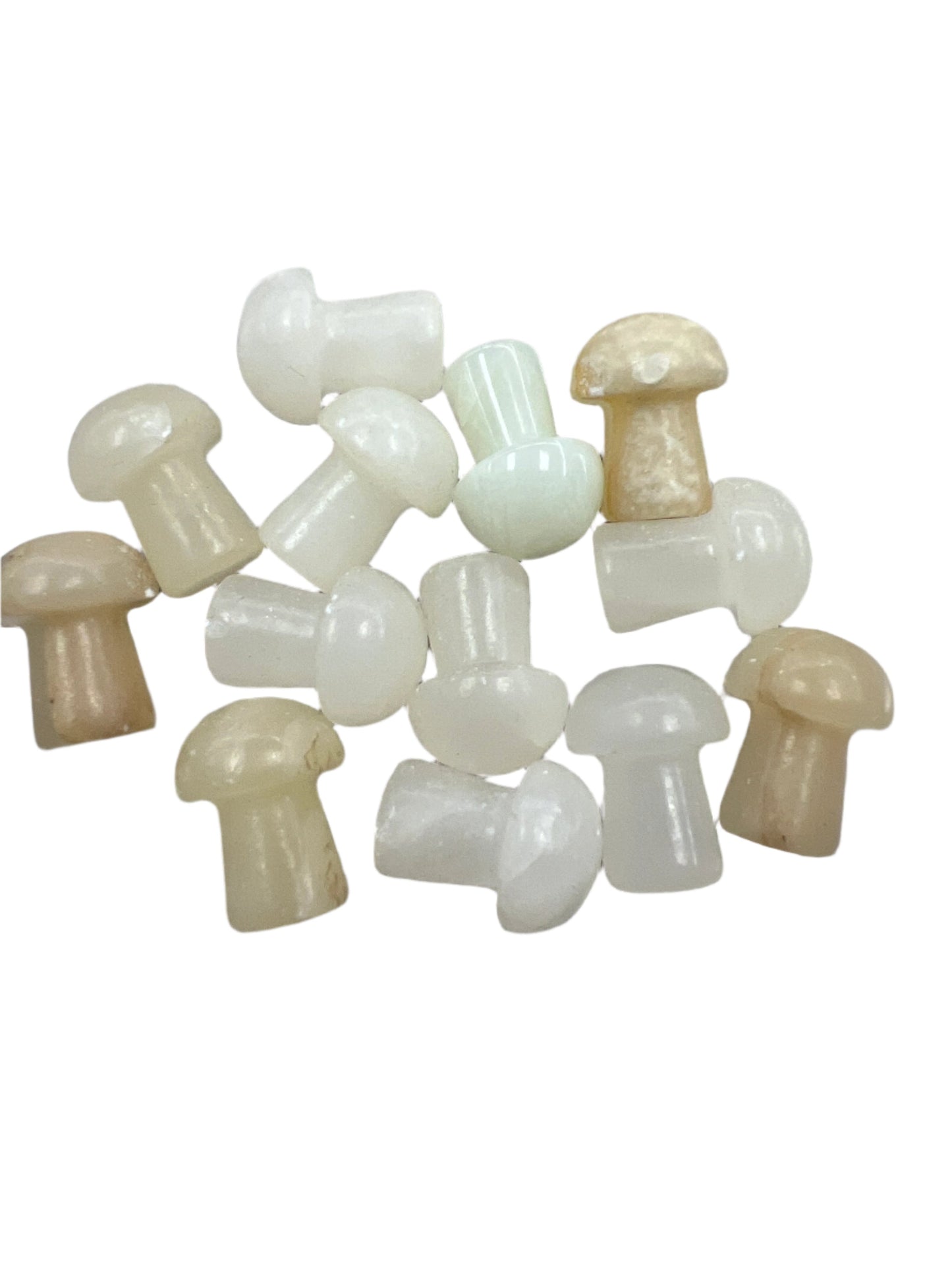 Gemstone mushrooms small