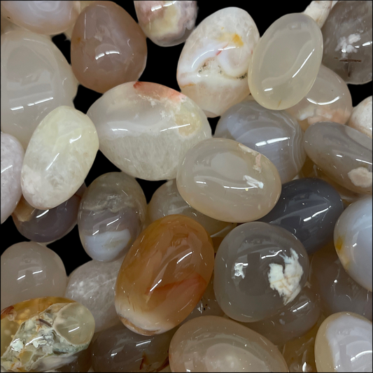 Flower Agate (Cherry Blossom) Tumbled