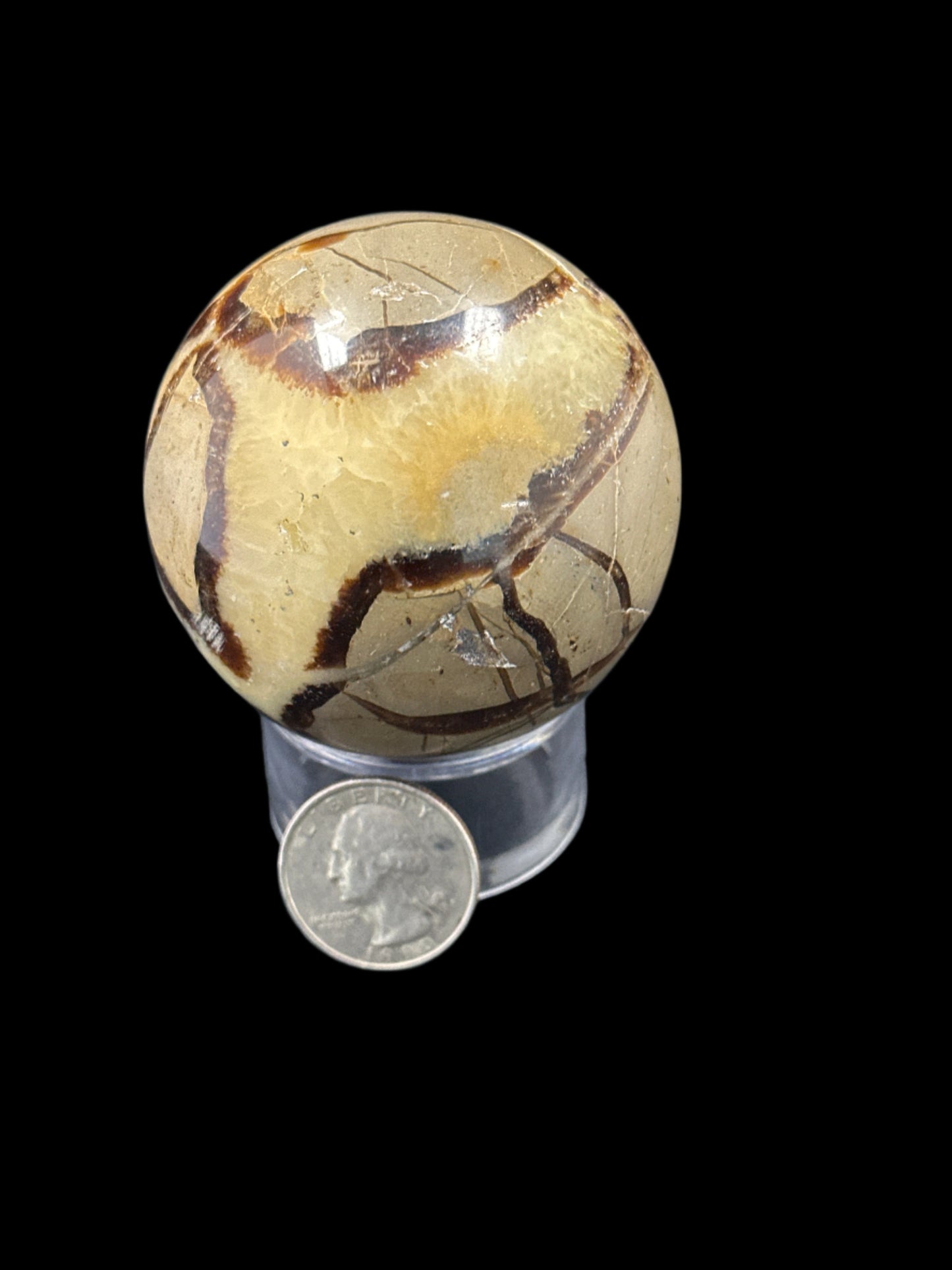 Septarian Sphere