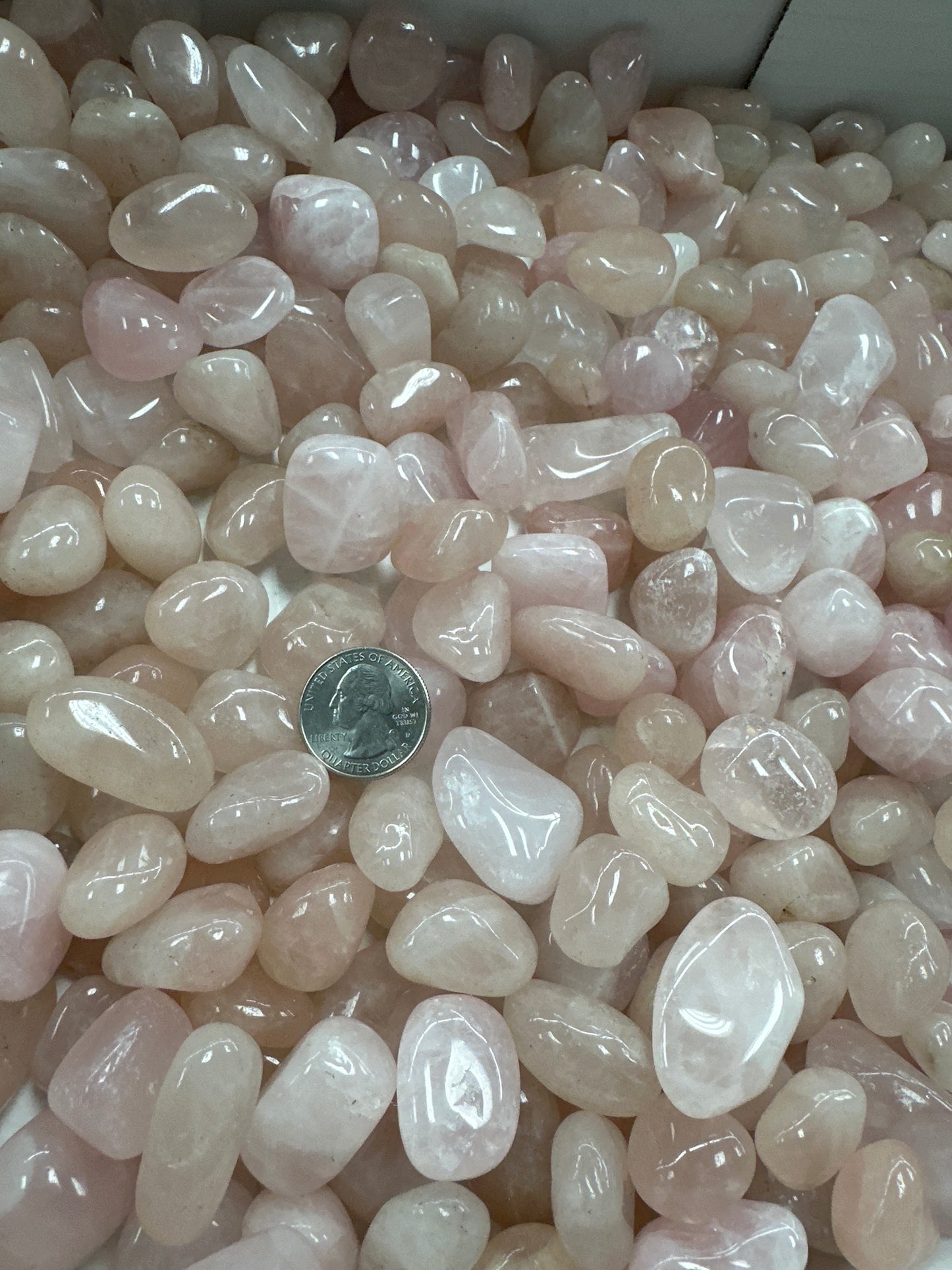 Rose Quartz Tumbled