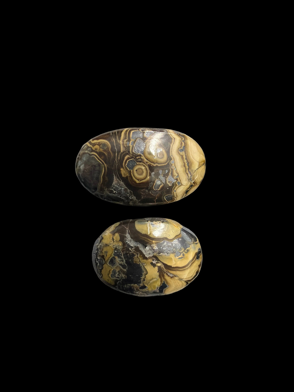 Schalendlende Palm Stone