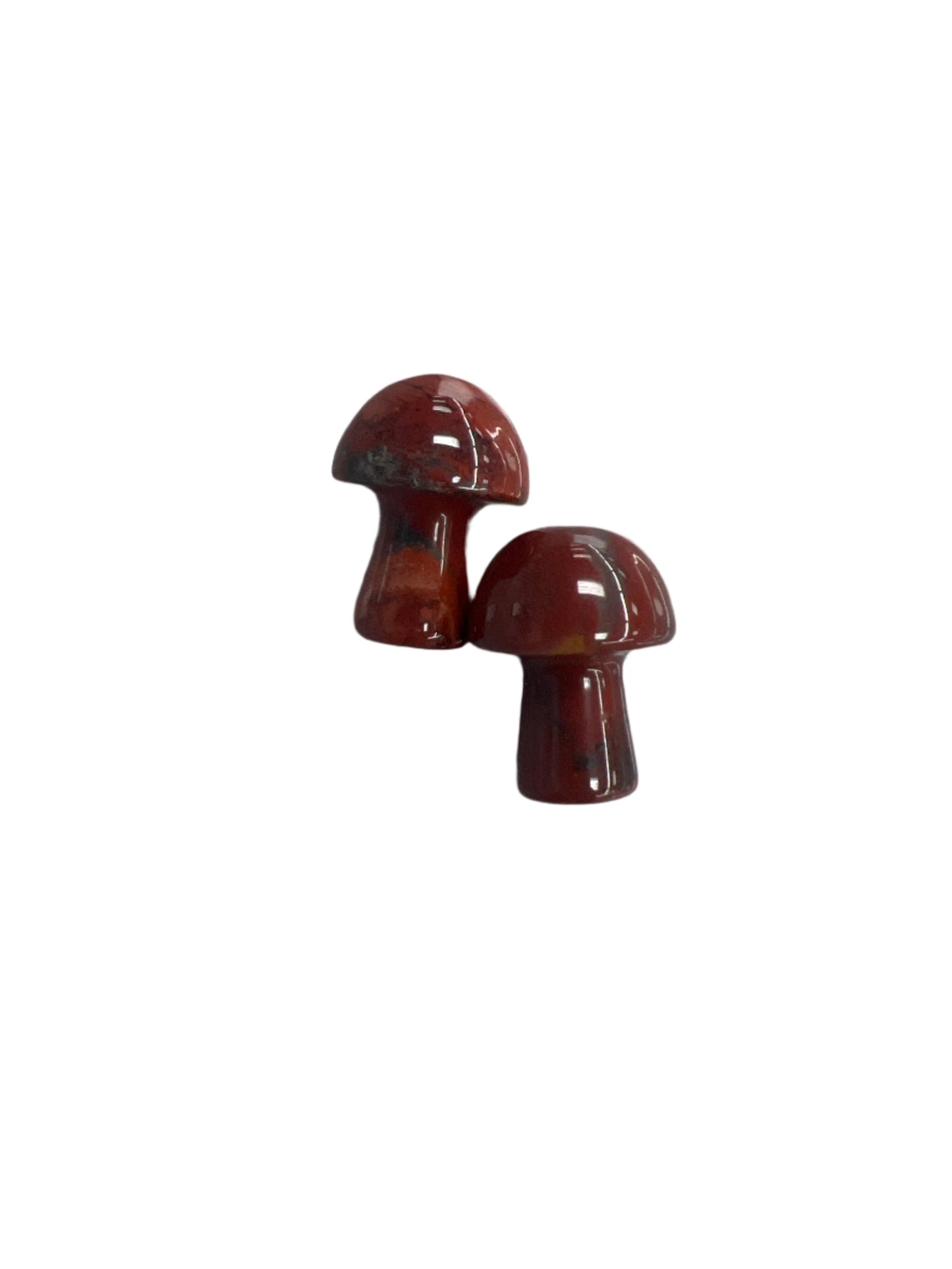 Gemstone mushrooms small