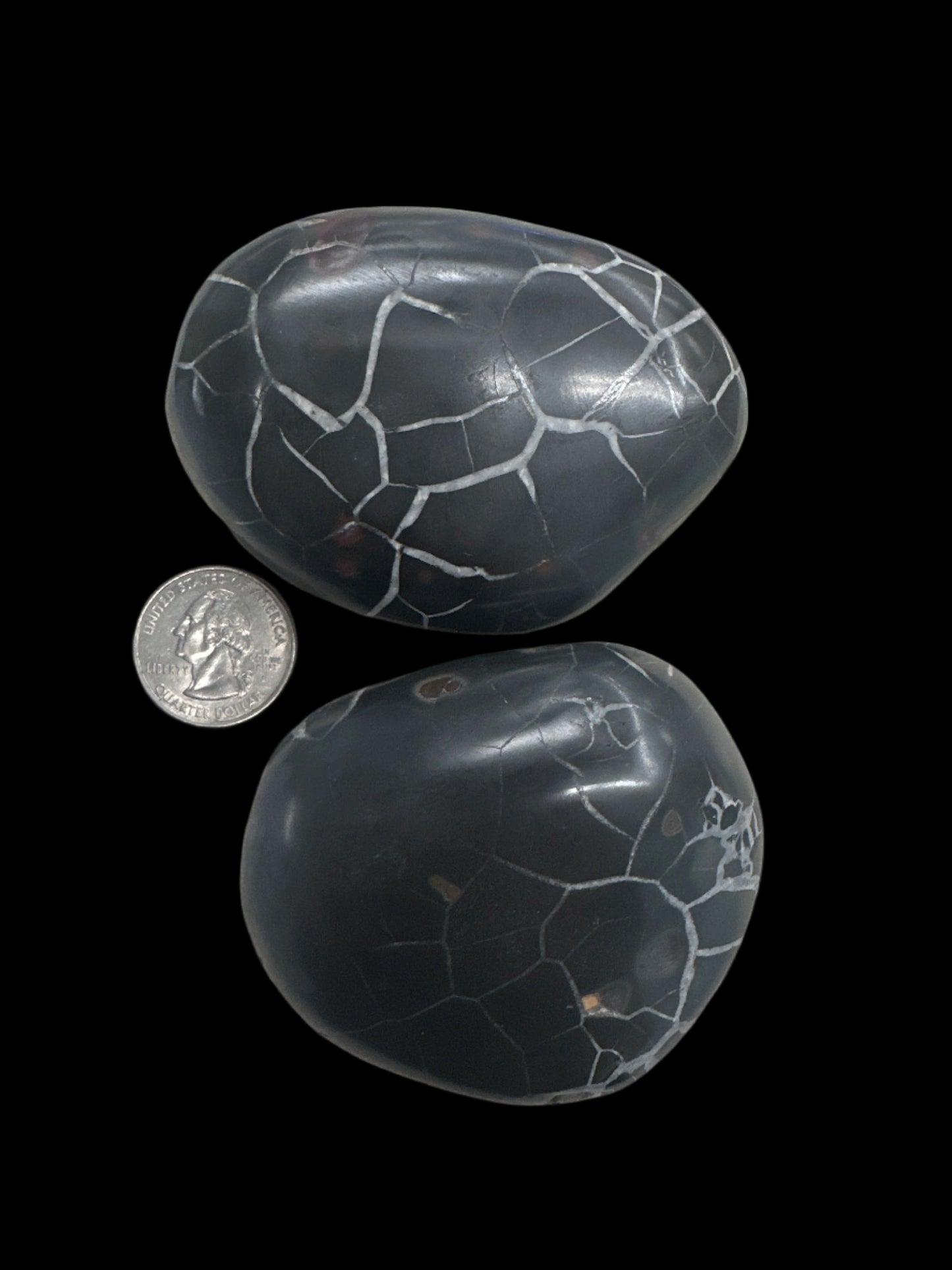 Moroccan Black Septarian Palm Stone