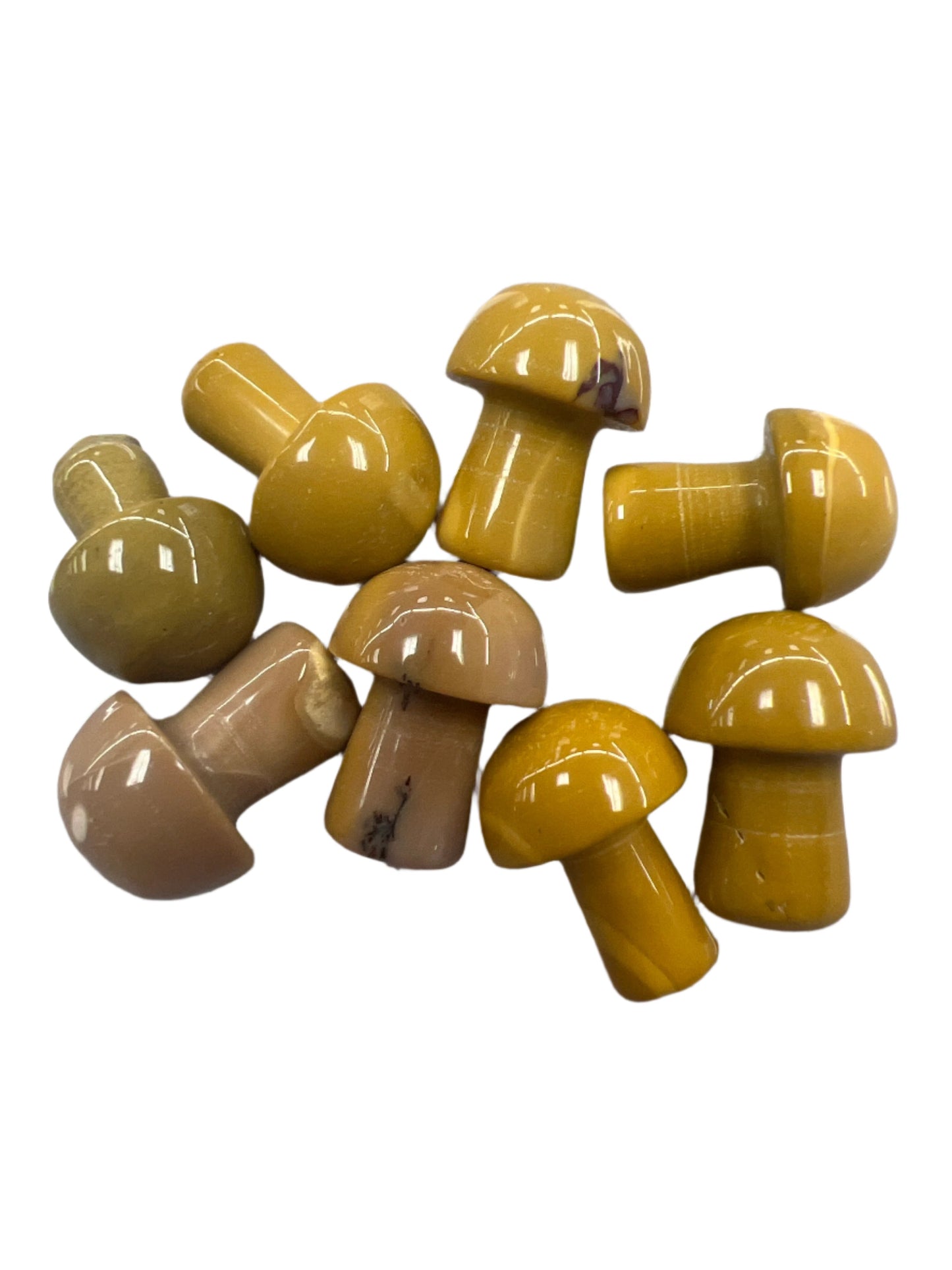 Gemstone mushrooms small