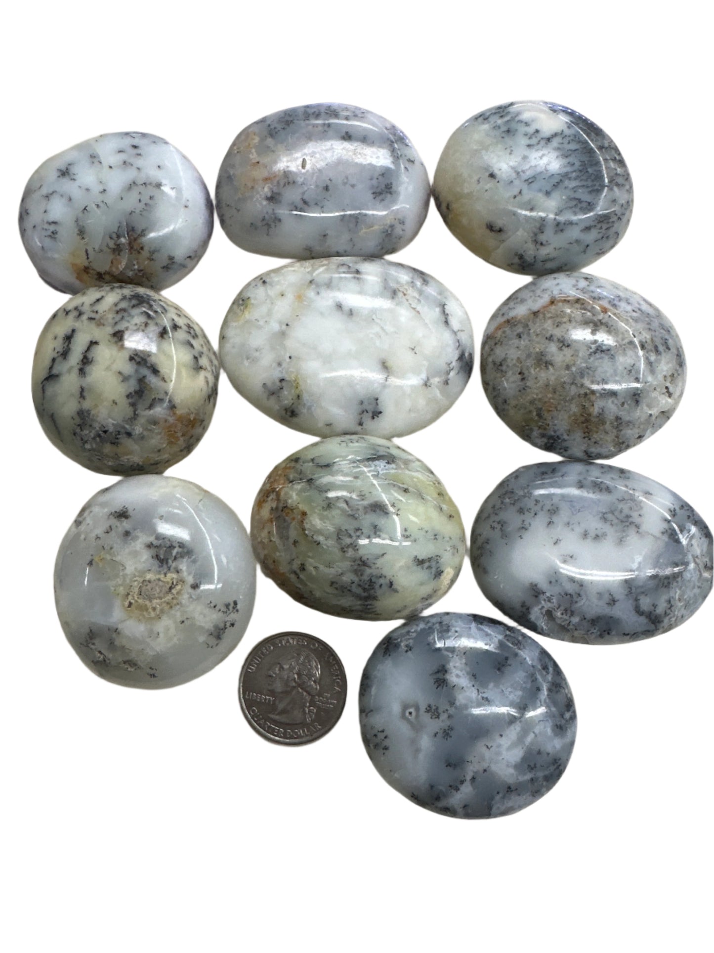 Dendritic Opal Palm Stone