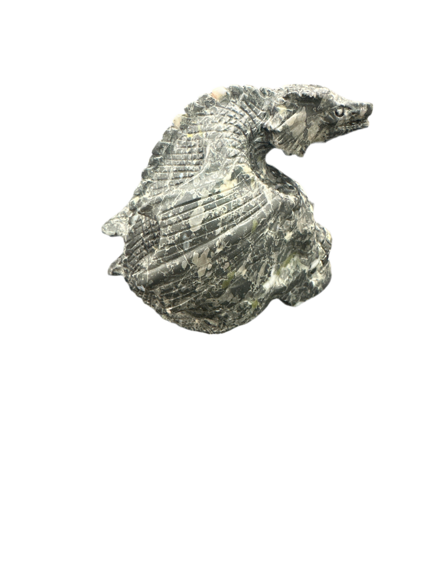 Orthoclase Skull W/ Dragon