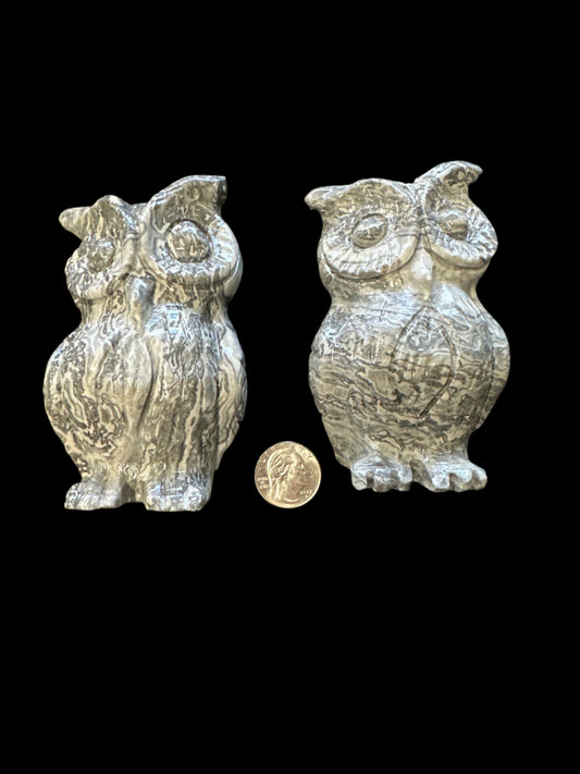 Picasso Jasper Owl