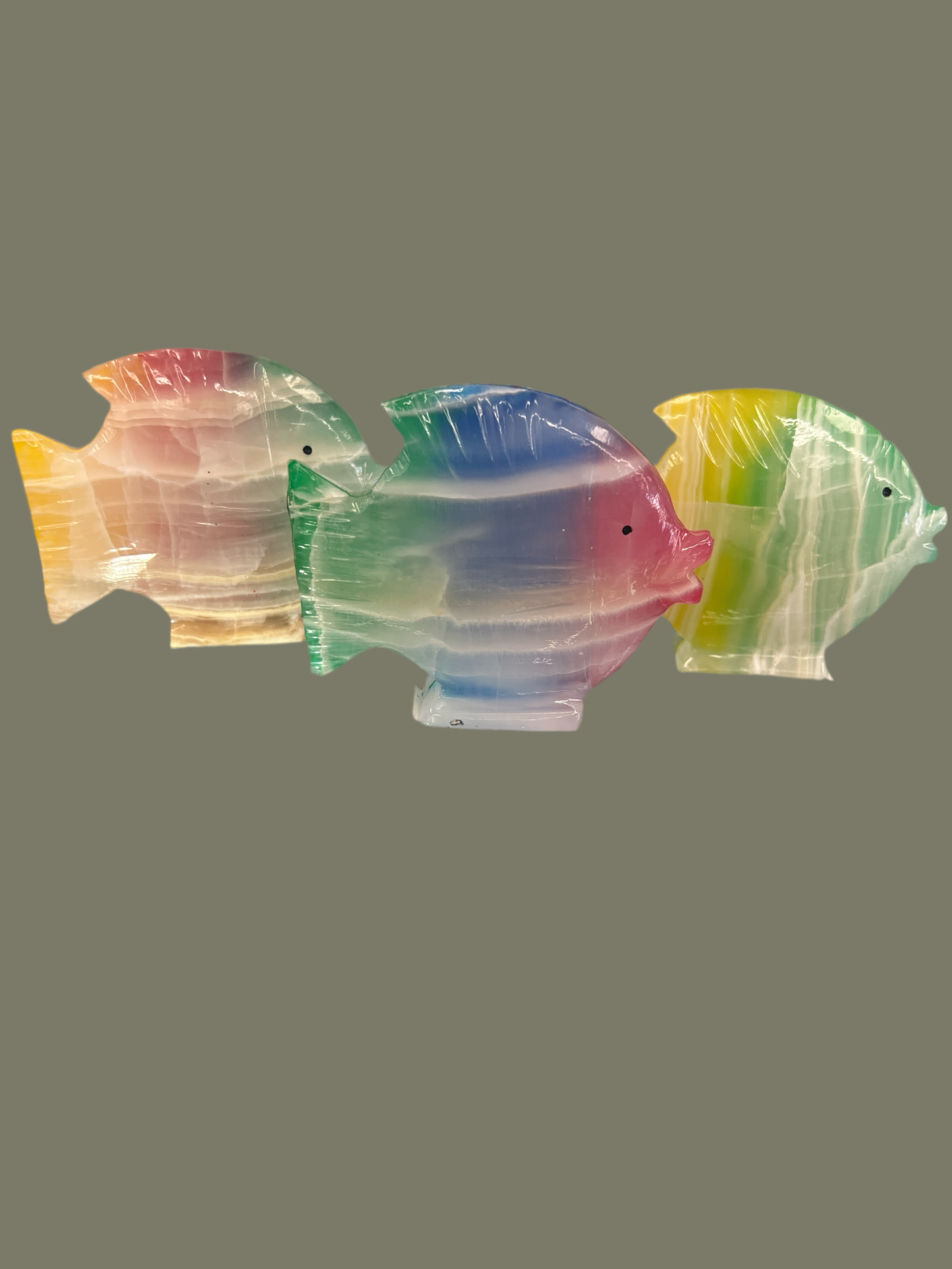 Rainbow Onyx Fish