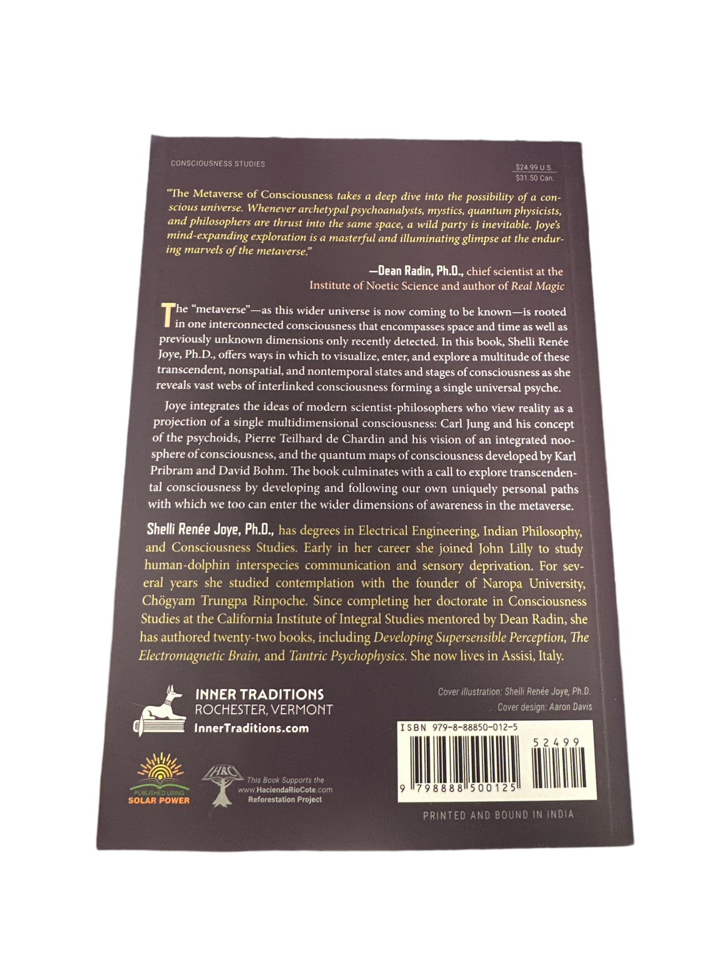 Metaverse of Consiousness: Mapping the Multiple Dimensions of Reality