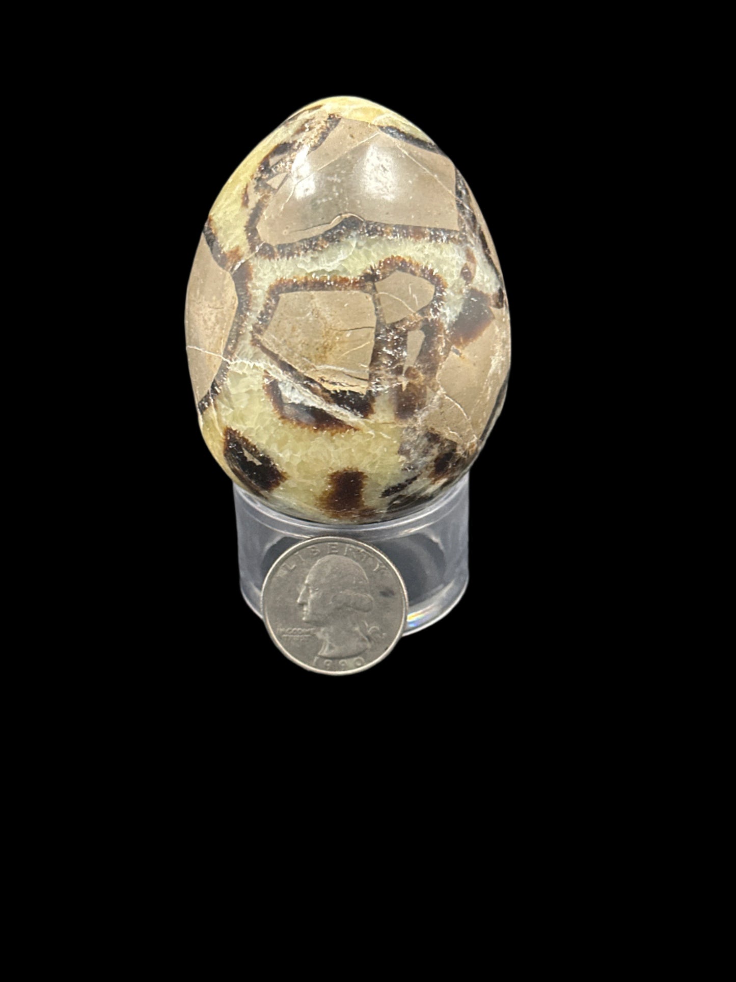 Septarian Eggs