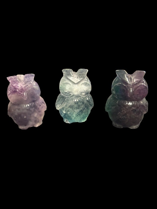 Fluorite Owl