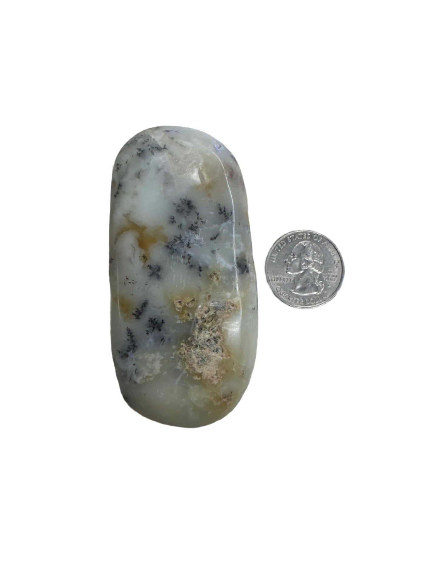 Dendritic Opal Palm Stone