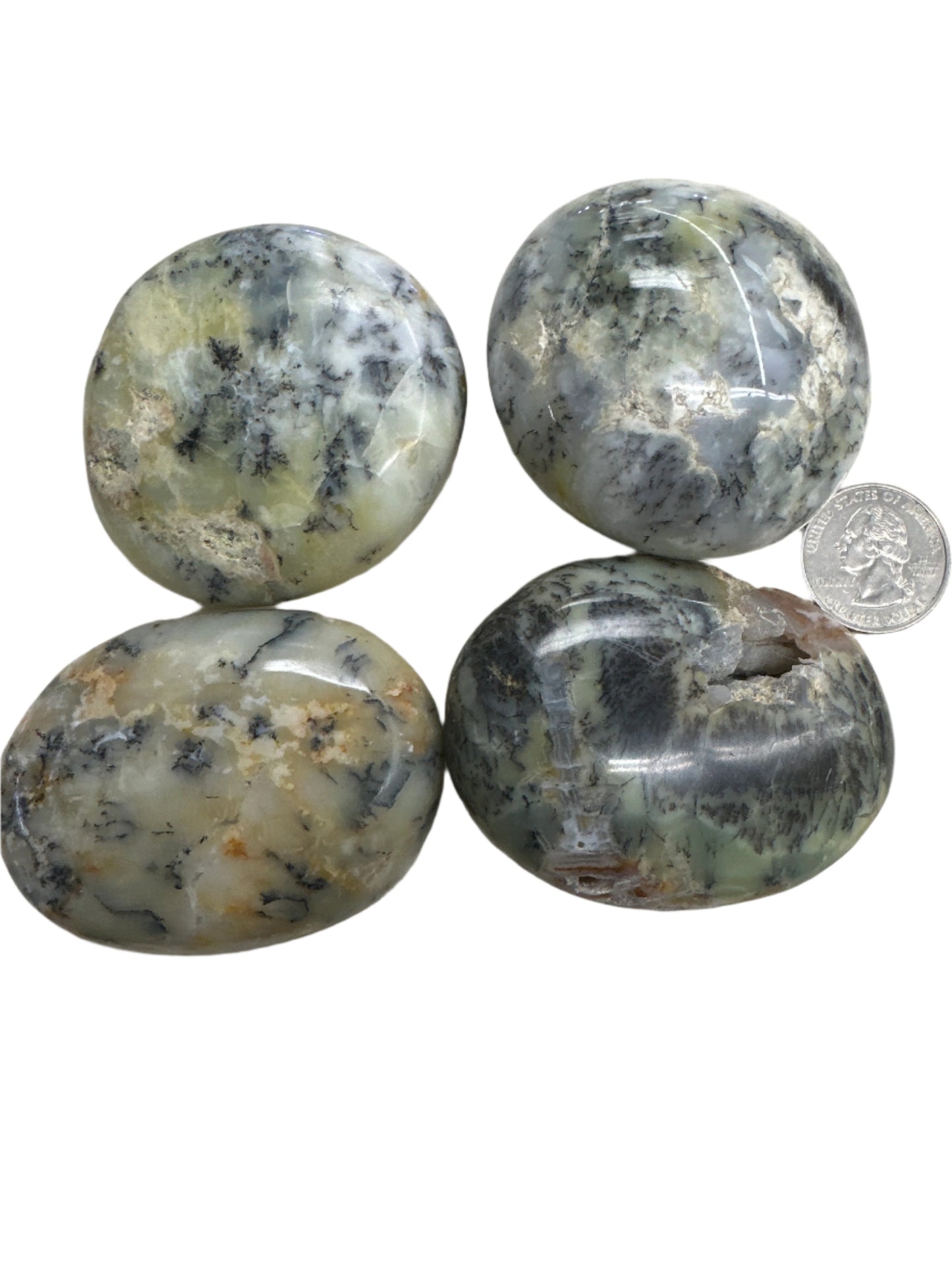 Dendritic Opal Palm Stone