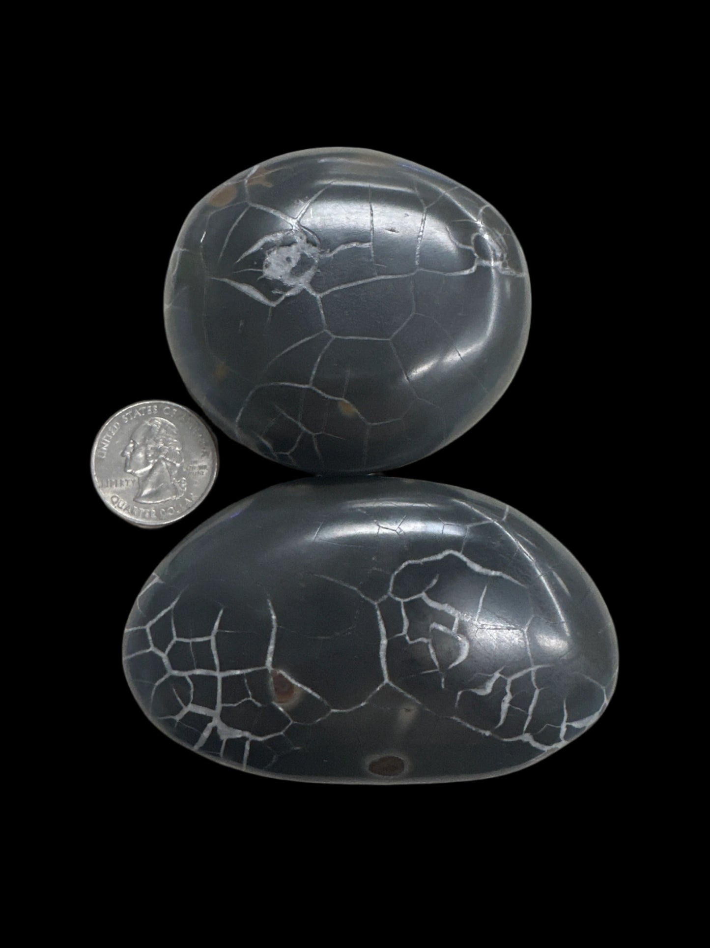 Moroccan Black Septarian Palm Stone