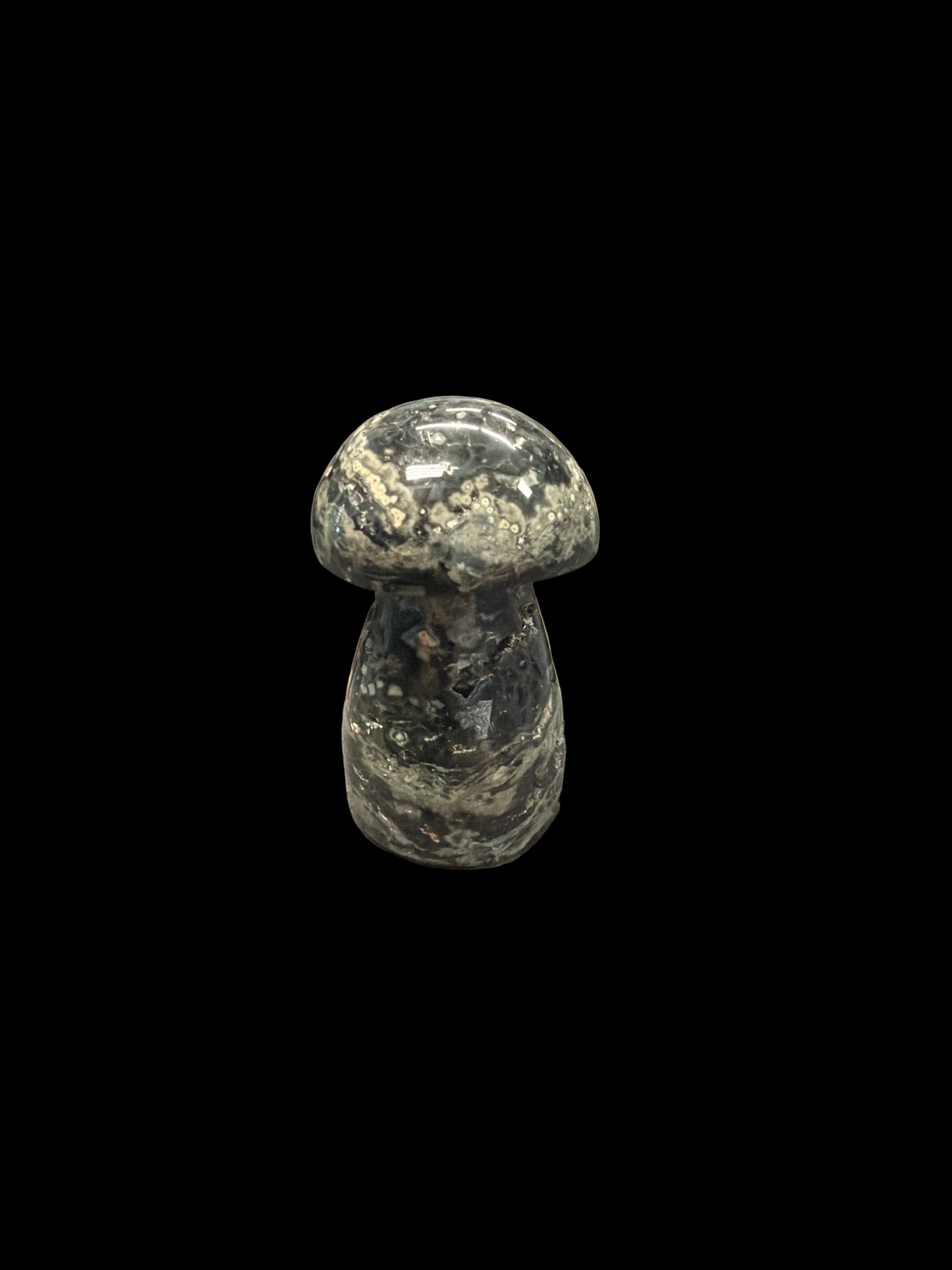 Ocean Jasper Mushroom