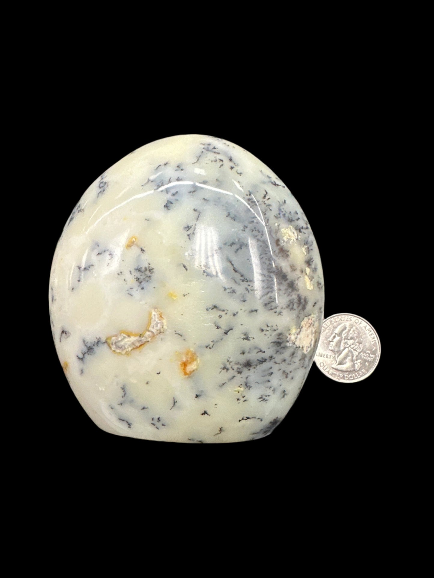 Dendritic Agate Freeform