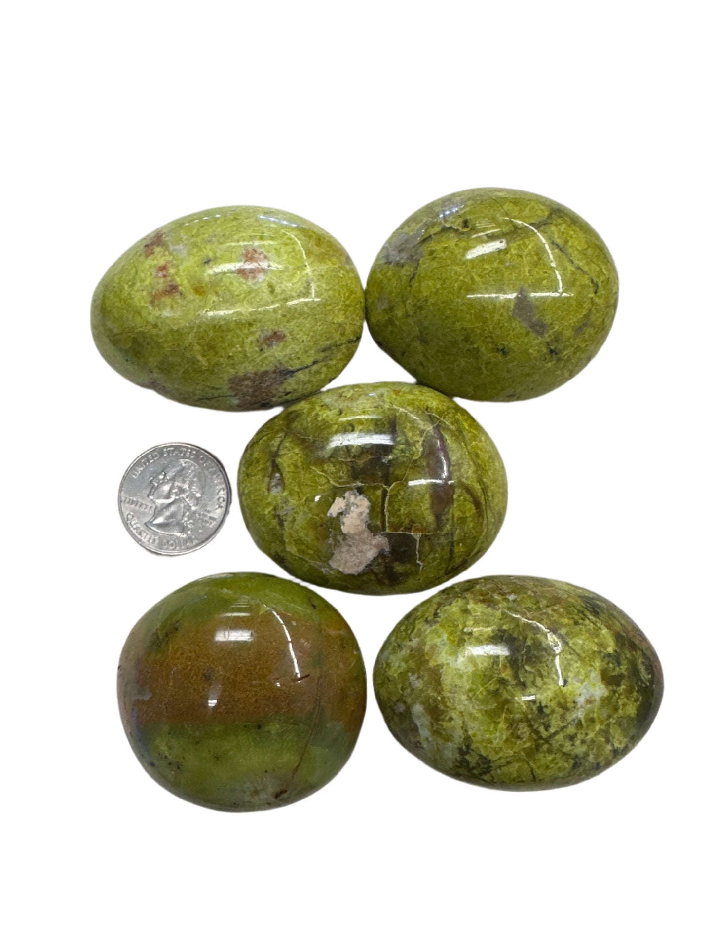 Green Opal Palm Stone